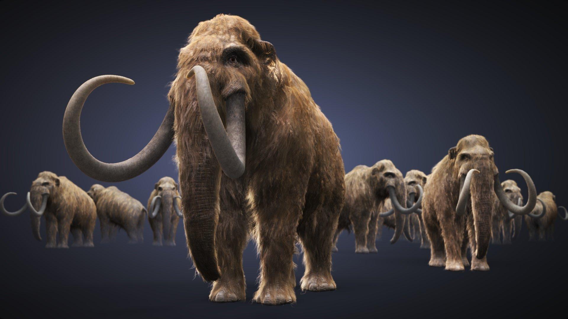 Mammoth HD Wallpapers - Top Free Mammoth HD Backgrounds - WallpaperAccess
