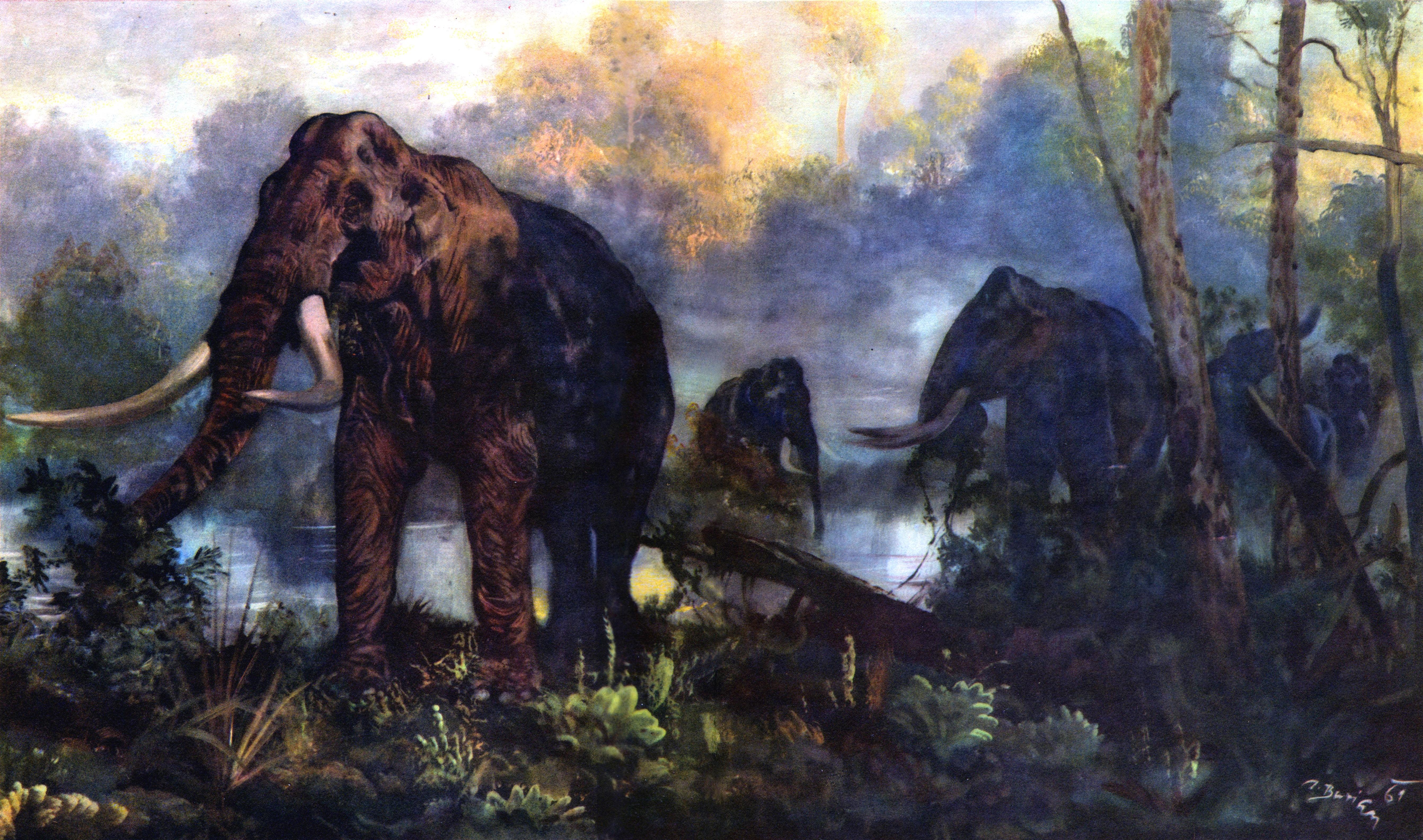 5370x3172 paintings mammoth zdenek burian 5370x3172 wallpaper High Quality Wallpaper, High Definition Wallpaper