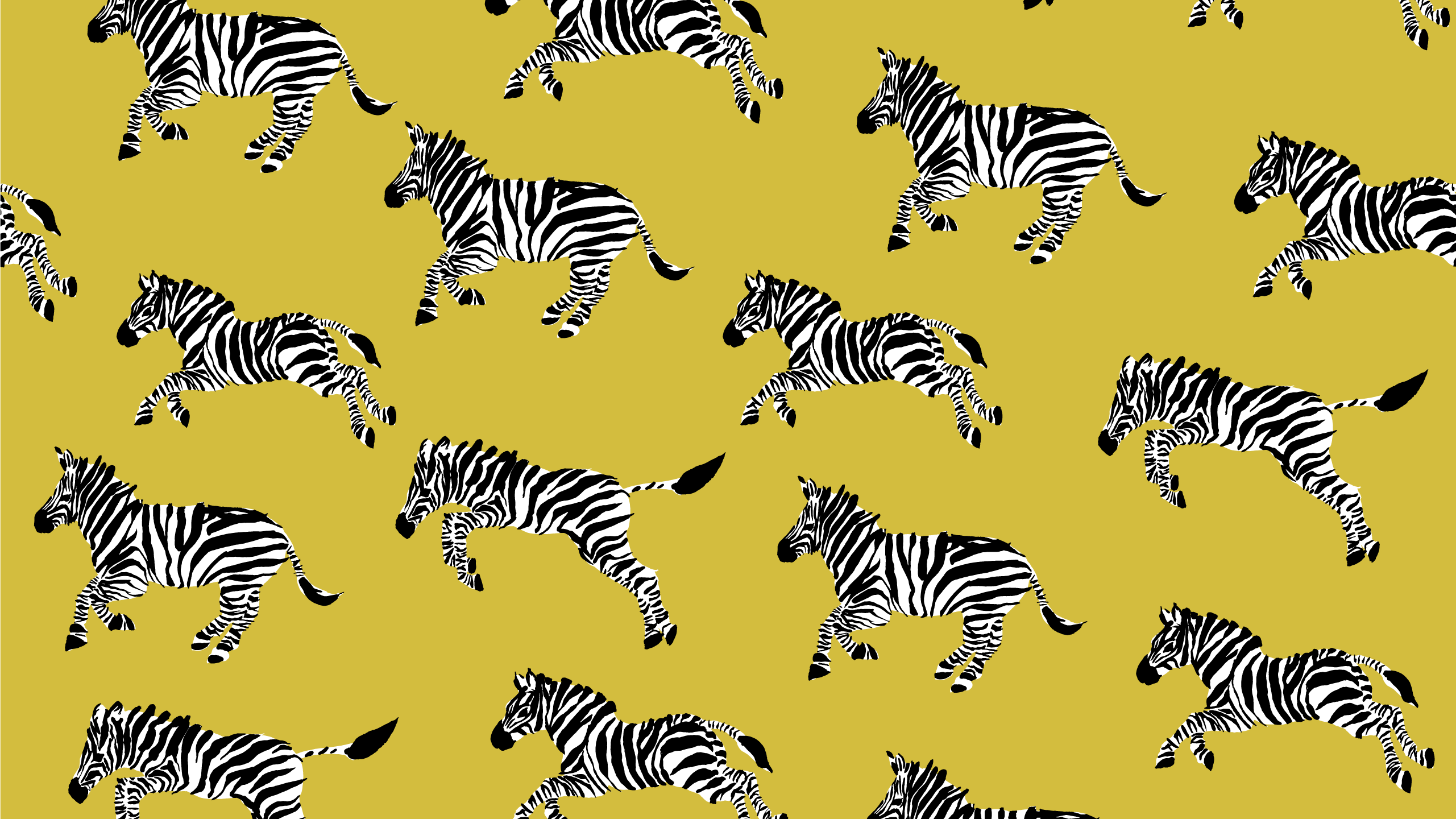 2561x1440 Baggu Zebra Wallpaper Free HD Wallpaper