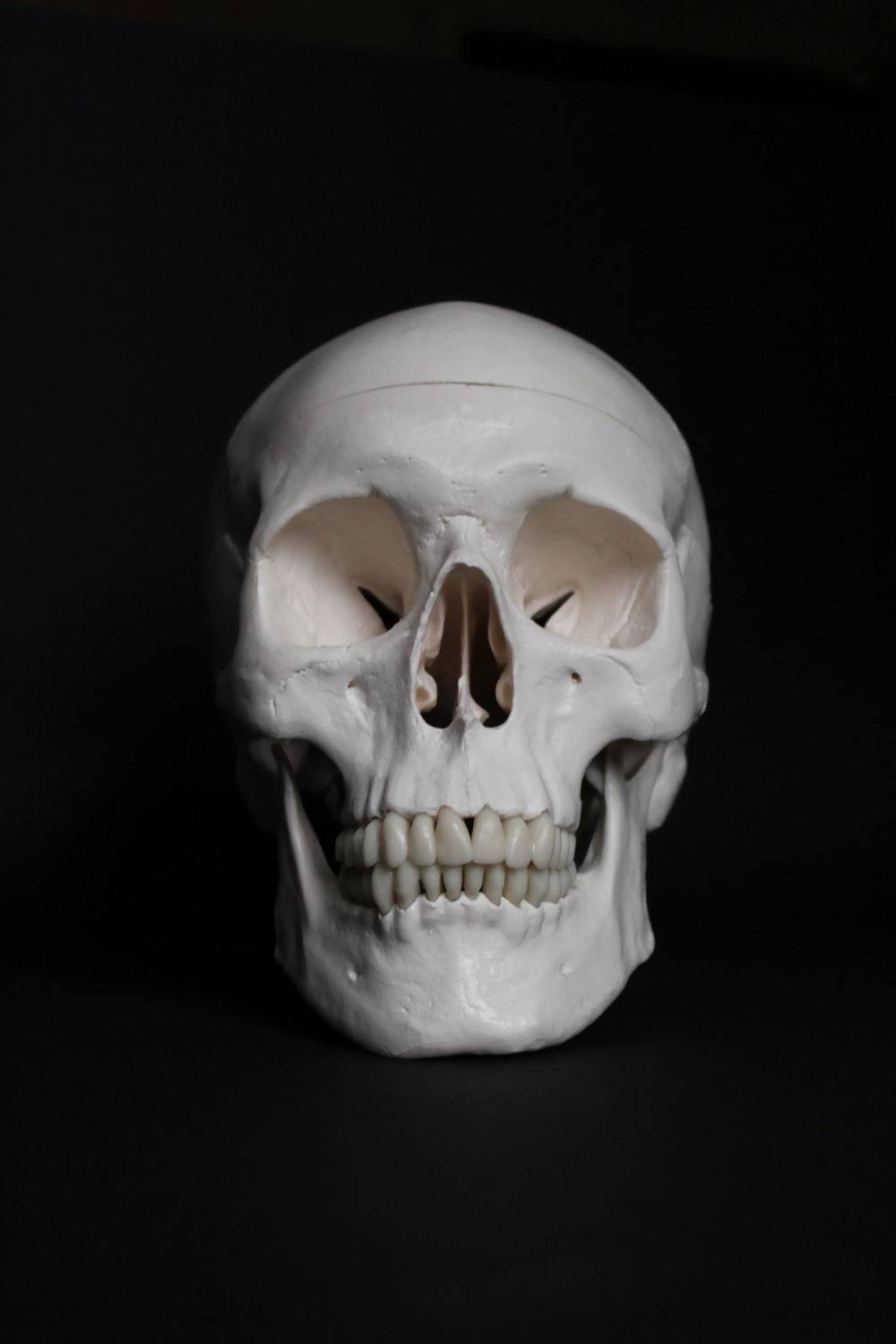 1000x1500 Skull Picture. Download Free Image