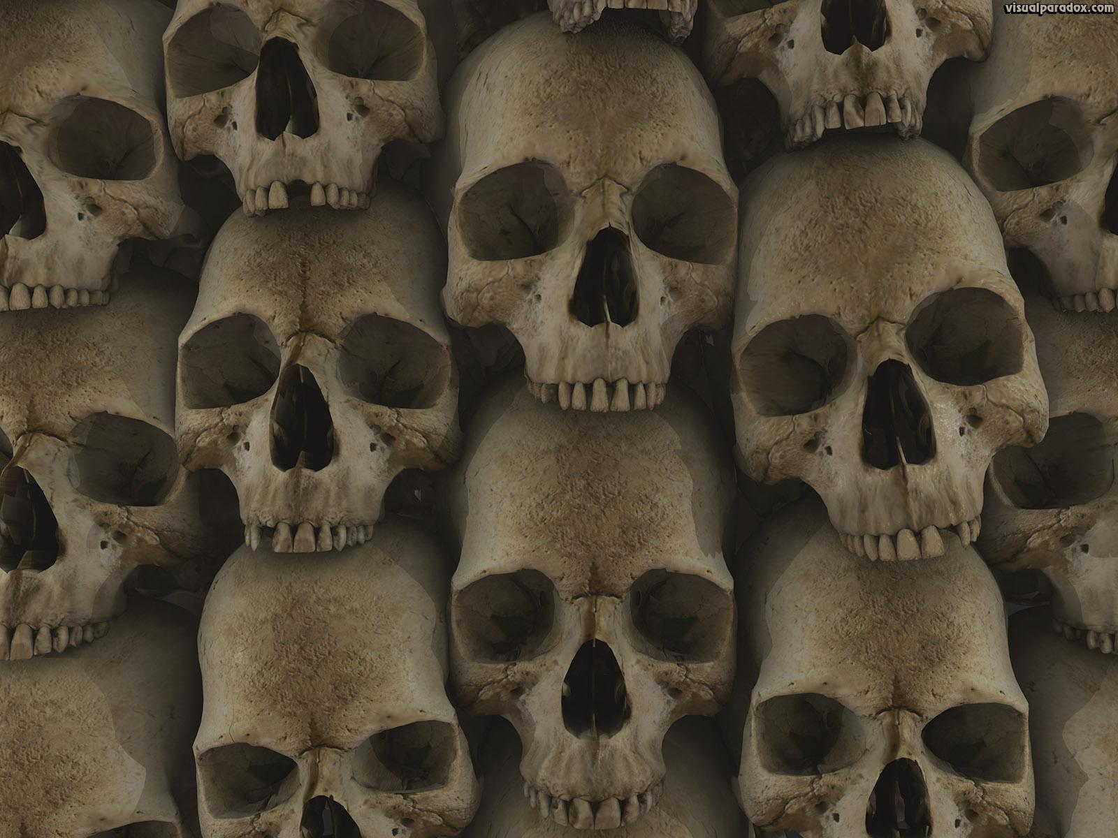1600x1200 Free download skull bone head stack Les Catacombes crypt gothic skulls bones [1600x1200] for your Desktop, Mobile & Tablet. Explore Wallpaper Skull Heads. Awesome Skull Wallpaper, Harley Davidson Wallpaper