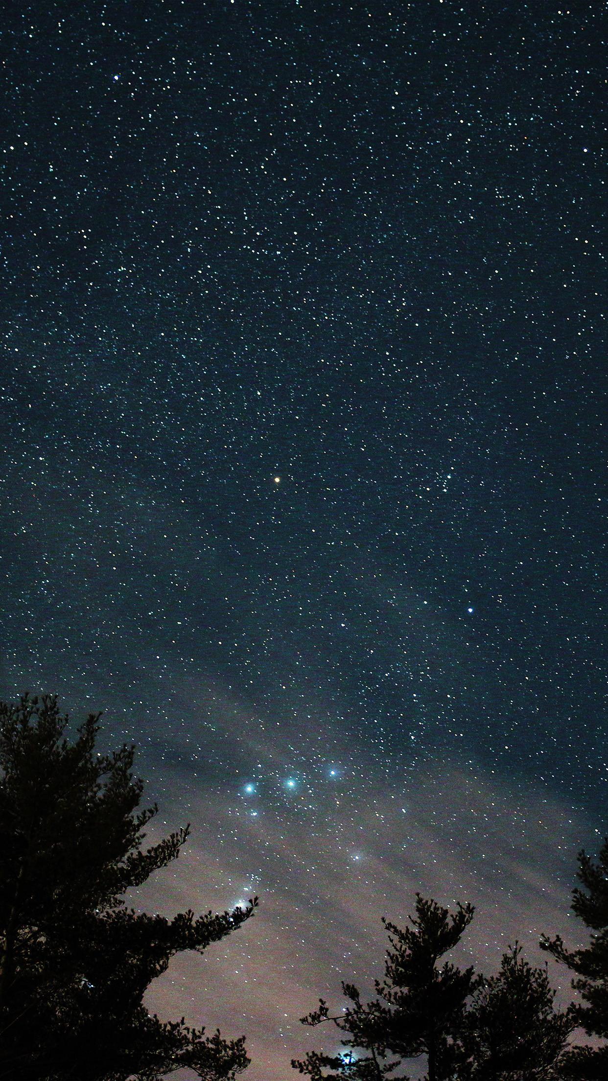 1242x2208 Starry Night Sky Wallpaper (best Starry Night Sky Wallpaper and image) on WallpaperChat