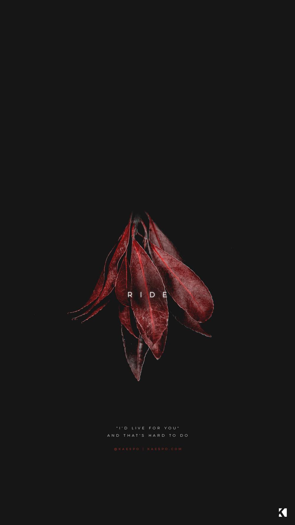 1000x1778 Wallpaper No. 421 Red Florals + Blurryface Album Lyrics
