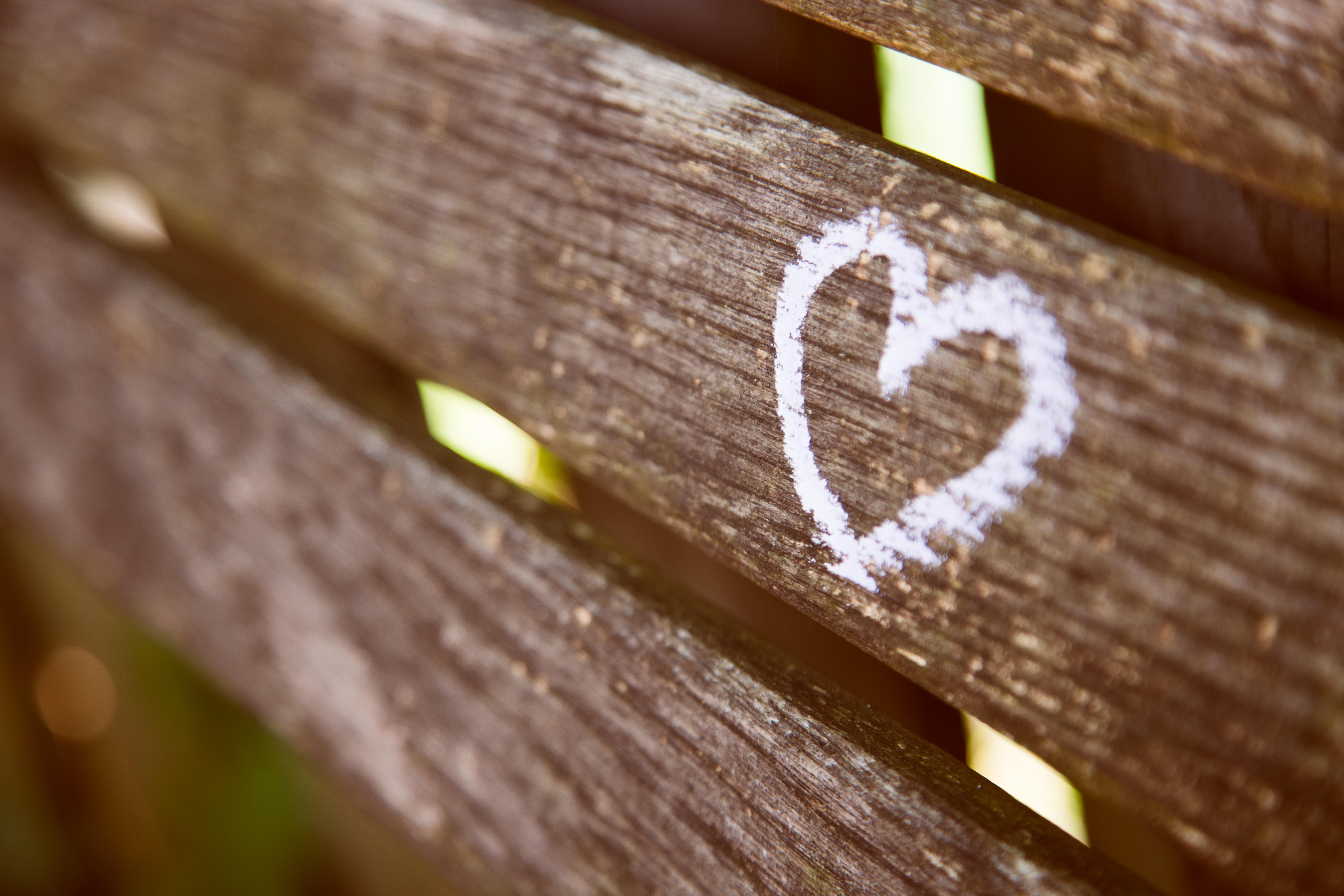 7952x5304 7952x5304 #blur, #board, #white paint, #carved, #carving, #graffiti, #abstract, #wood, #heart, #heart shape, #shallow focu, #engraving, #wooden, #Free picture, #bench, #shape, #love, #background, #painted heart, #fence, #chalk. Mocah HD