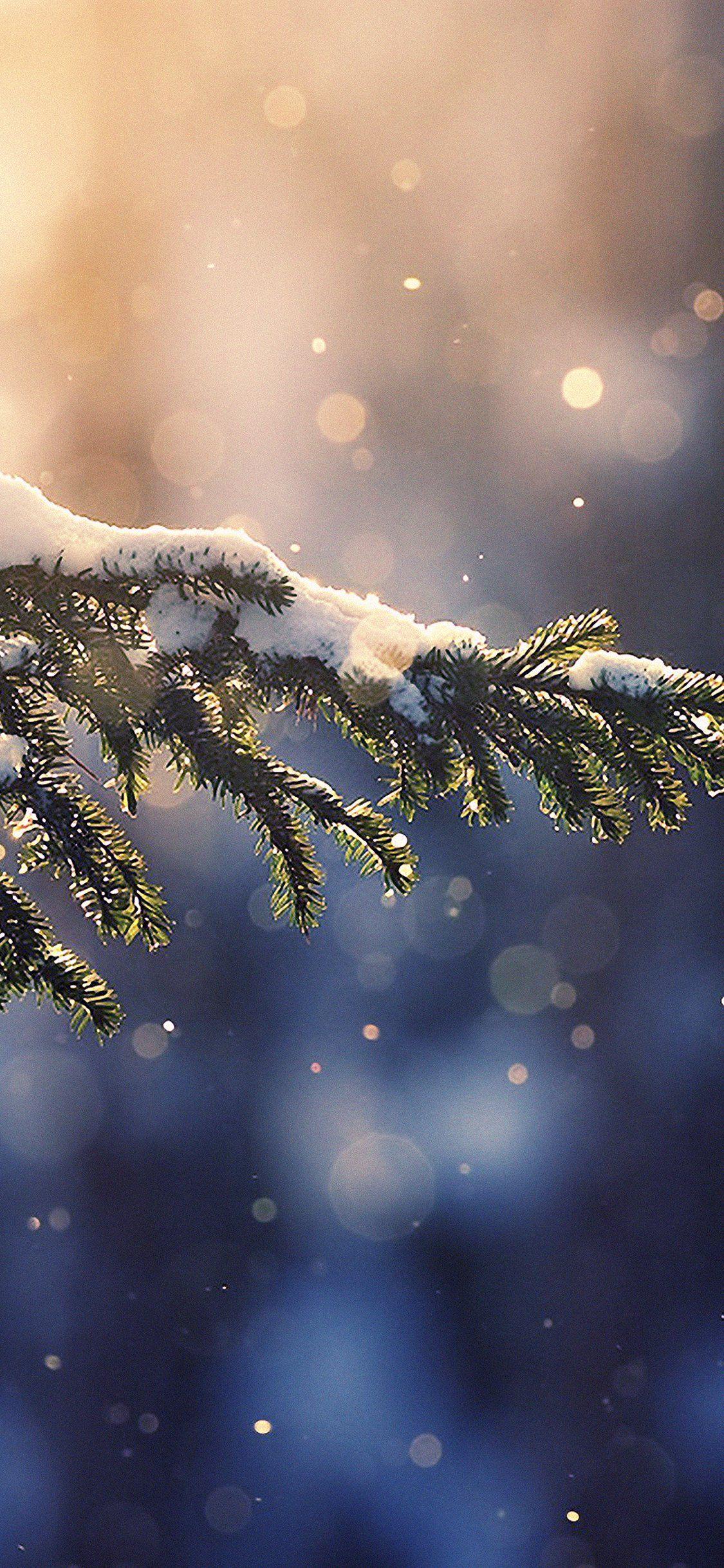 1125x2436 iPhone 8 Plus Winter Wallpaper