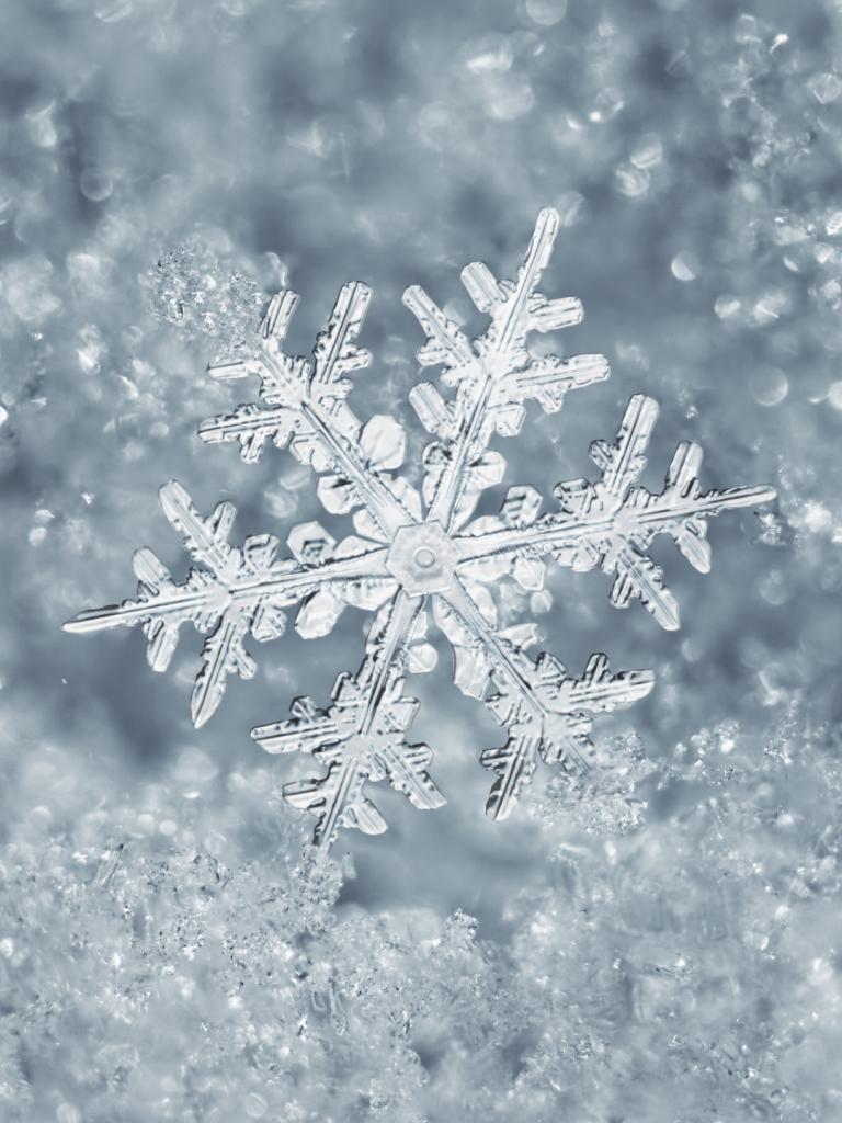 768x1024 Free download Cool Winter iphone Wallpaper HD Wallpaper Desktop Background [1080x1920] for your Desktop, Mobile & Tablet. Explore Winter iPhone Wallpaper. Animated Winter iPhone Wallpaper, Winter iPhone Wallpaper HD