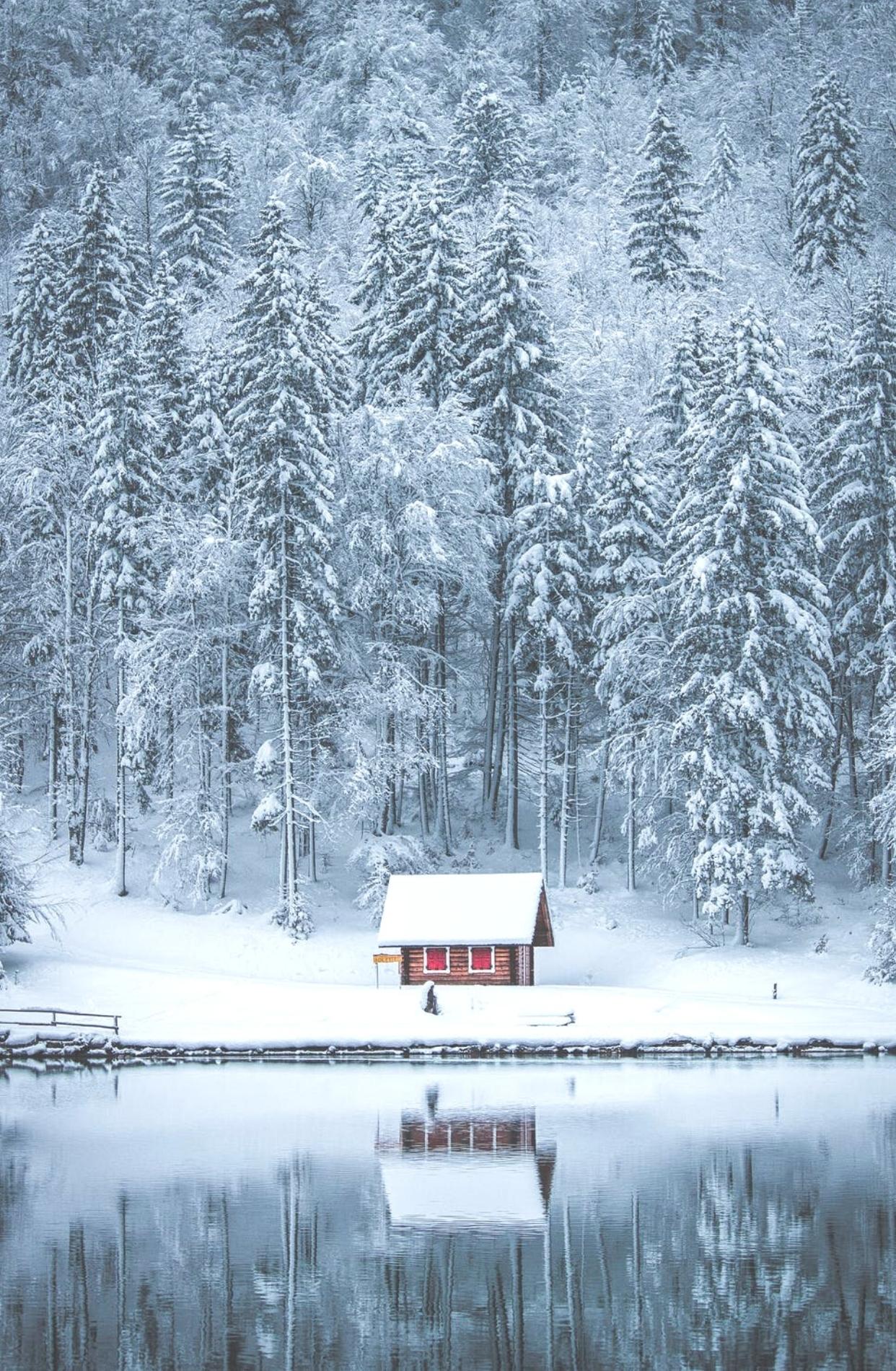 1242x1900 Free Beautiful Winter Wallpaper For iPhone That You'll Love