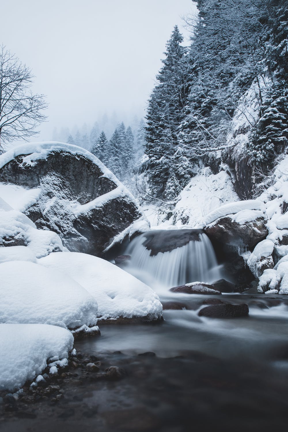 1000x1500 Free Beautiful Winter Wallpaper For iPhone That You'll Love