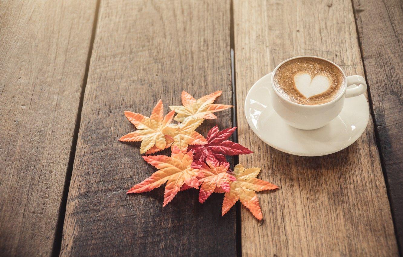 1332x850 Autumn Cup Wallpaper