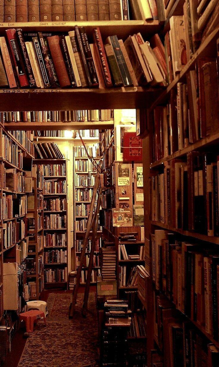 736x1230 In a castle's library, #bookshelfdecoraesthetic #castles #library. Dream library, Library aesthetic, Book lovers