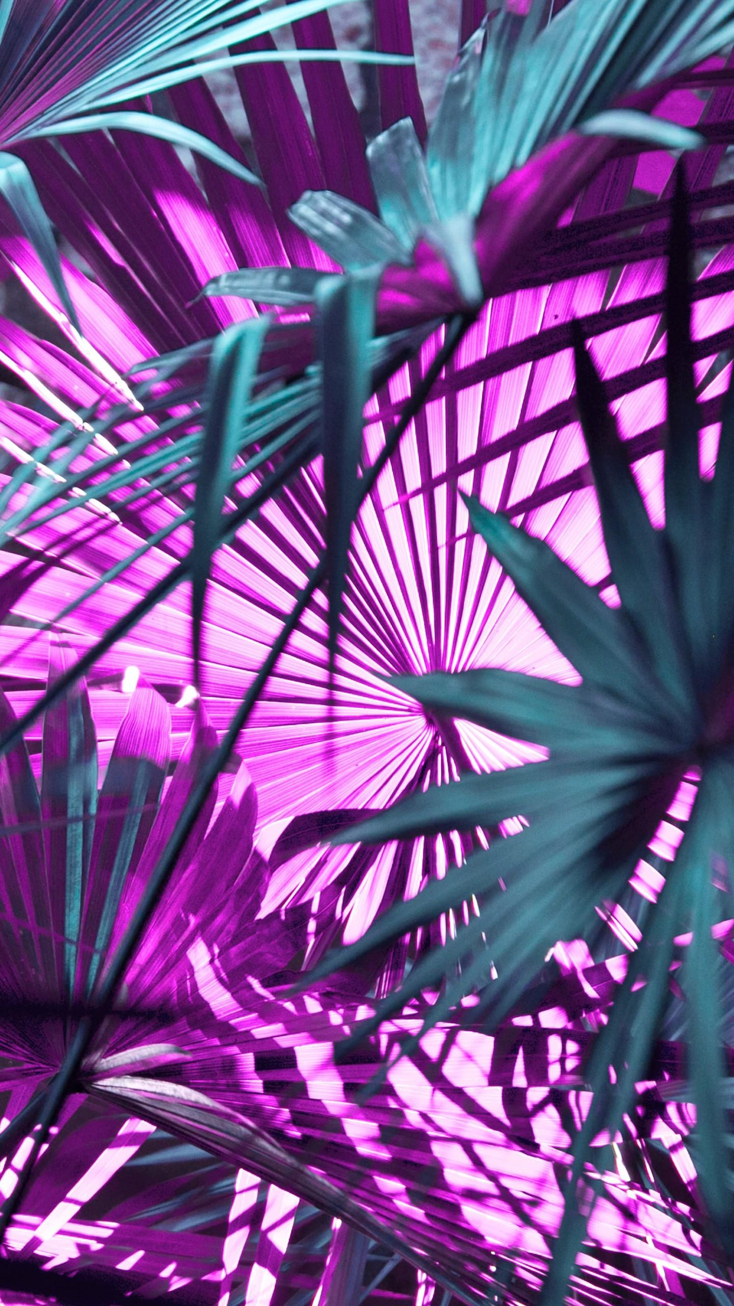 1440x2560 Green And Purple Leaves 4K HD Purple Wallpaper