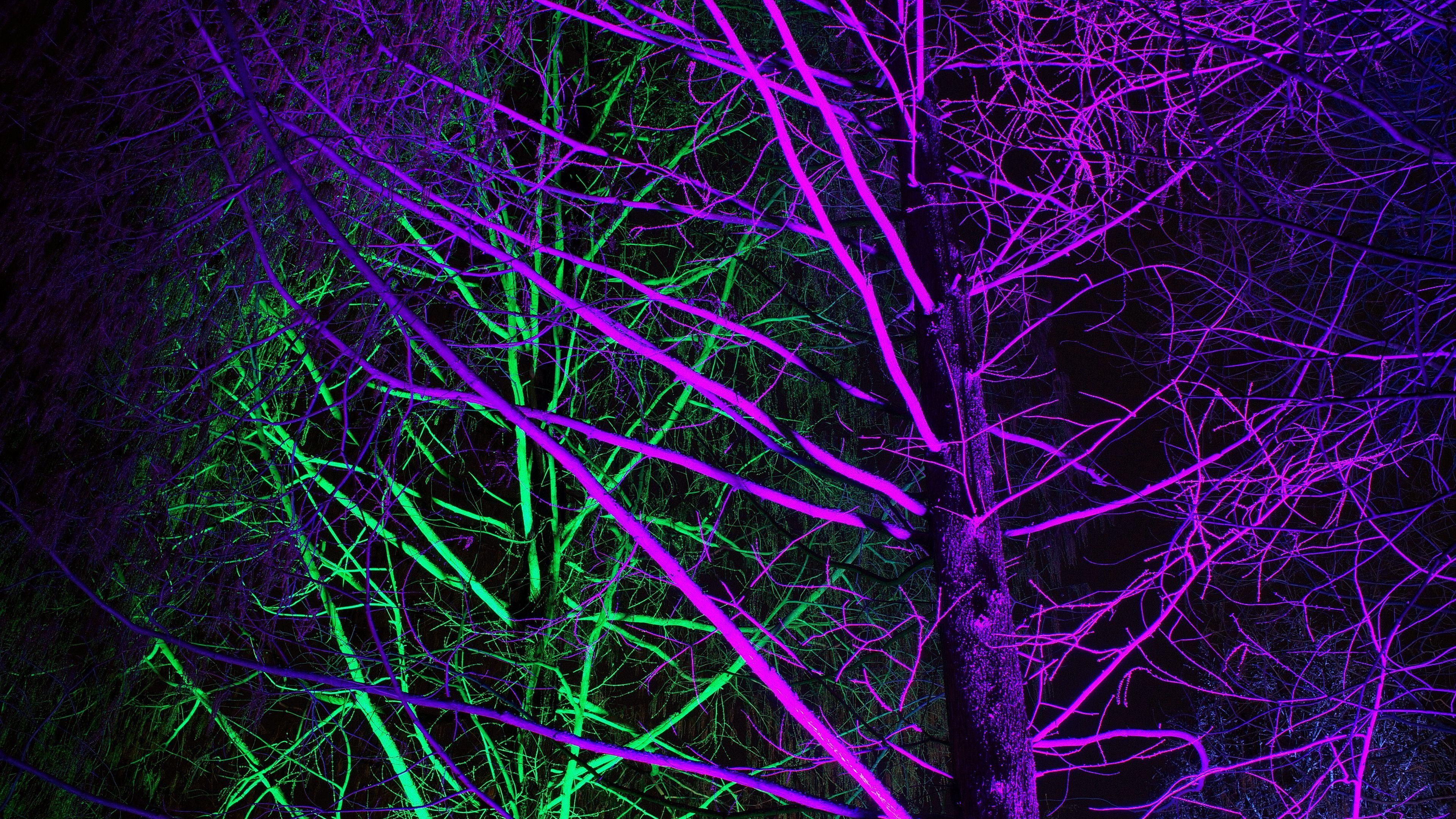 3840x2160 Download wallpaper 3840x2160 trees, backlight, neon, purple, green 4k uhd 16:9 HD background
