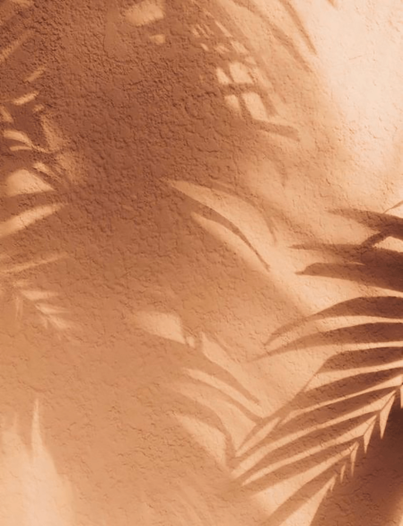 800x1044 Shadow Play. Erika Carlock. Bohemian Lifestyle Blog. Peach aesthetic, Aesthetic background, Brown aesthetic