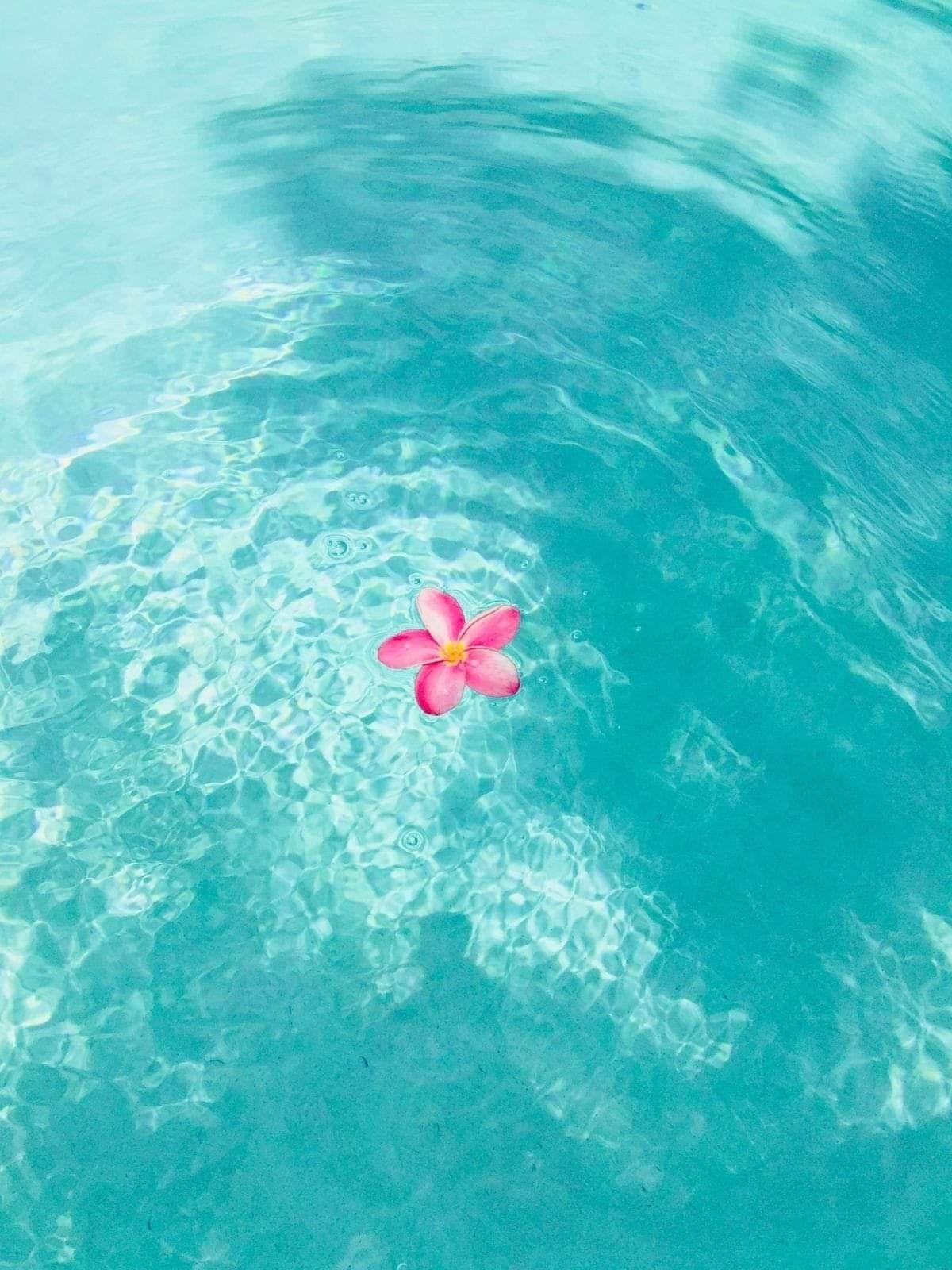 1200x1600 Cute Aesthetic Water Wallpaper