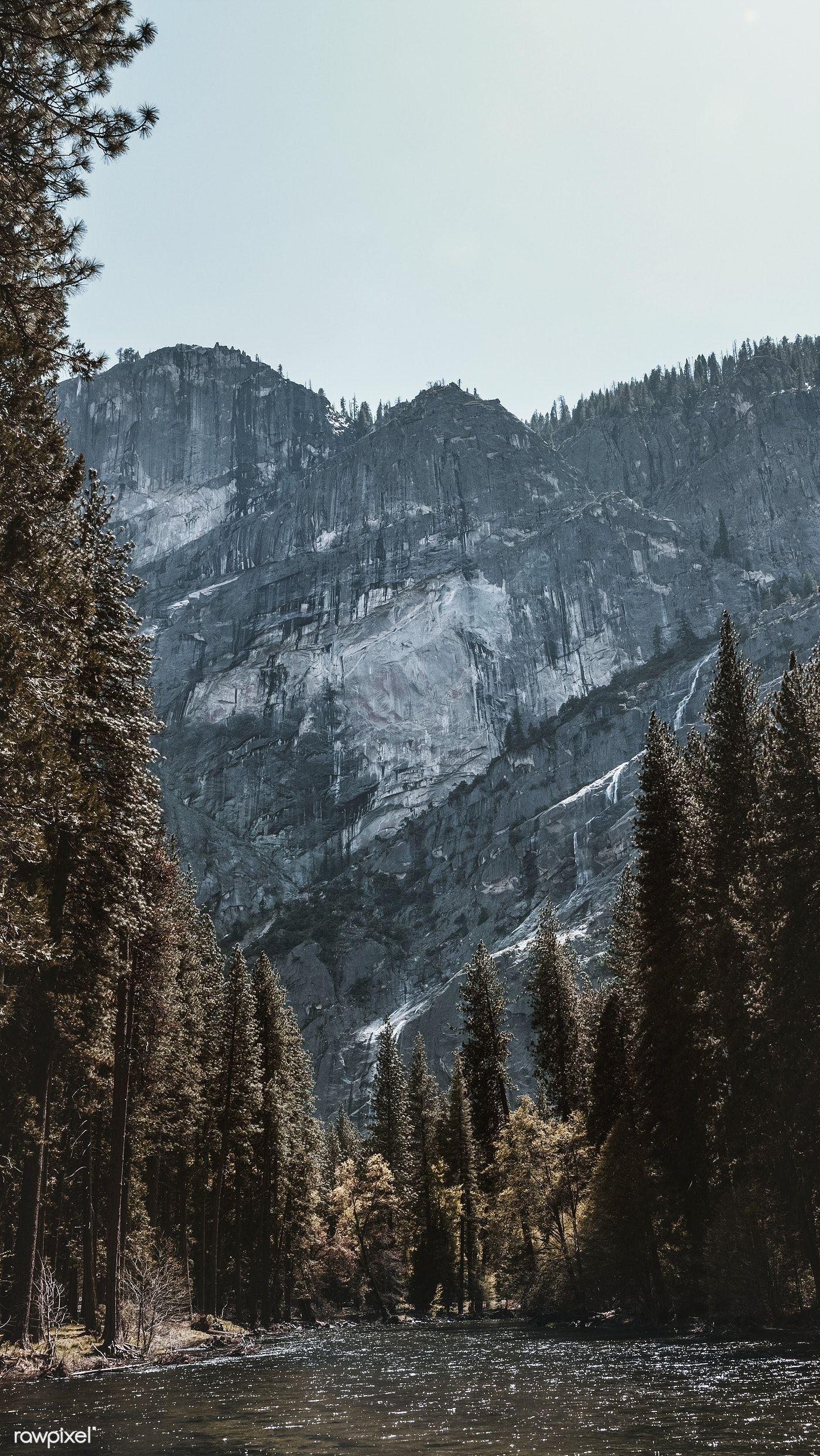 1400x2488 Natural stream in a forest mobile screen wallpaper, 4k iphone and mobile phone wallpaper. iPhone wallpaper mountains, Nature iphone wallpaper, Landscape wallpaper