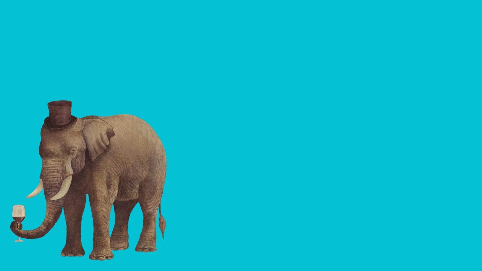 Minimalist Elephant Wallpapers - Top Free Minimalist Elephant