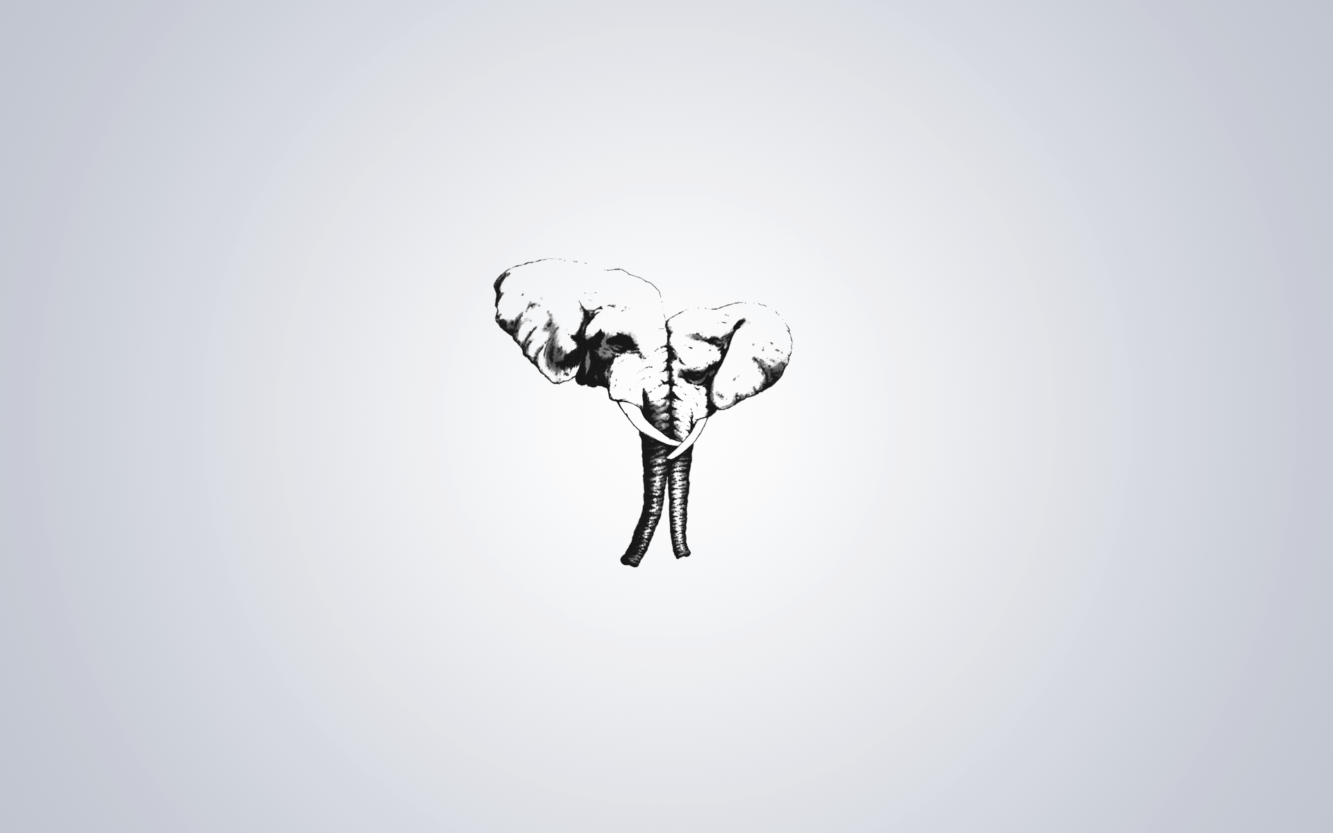 Minimalist Elephant Wallpapers - Top Free Minimalist Elephant