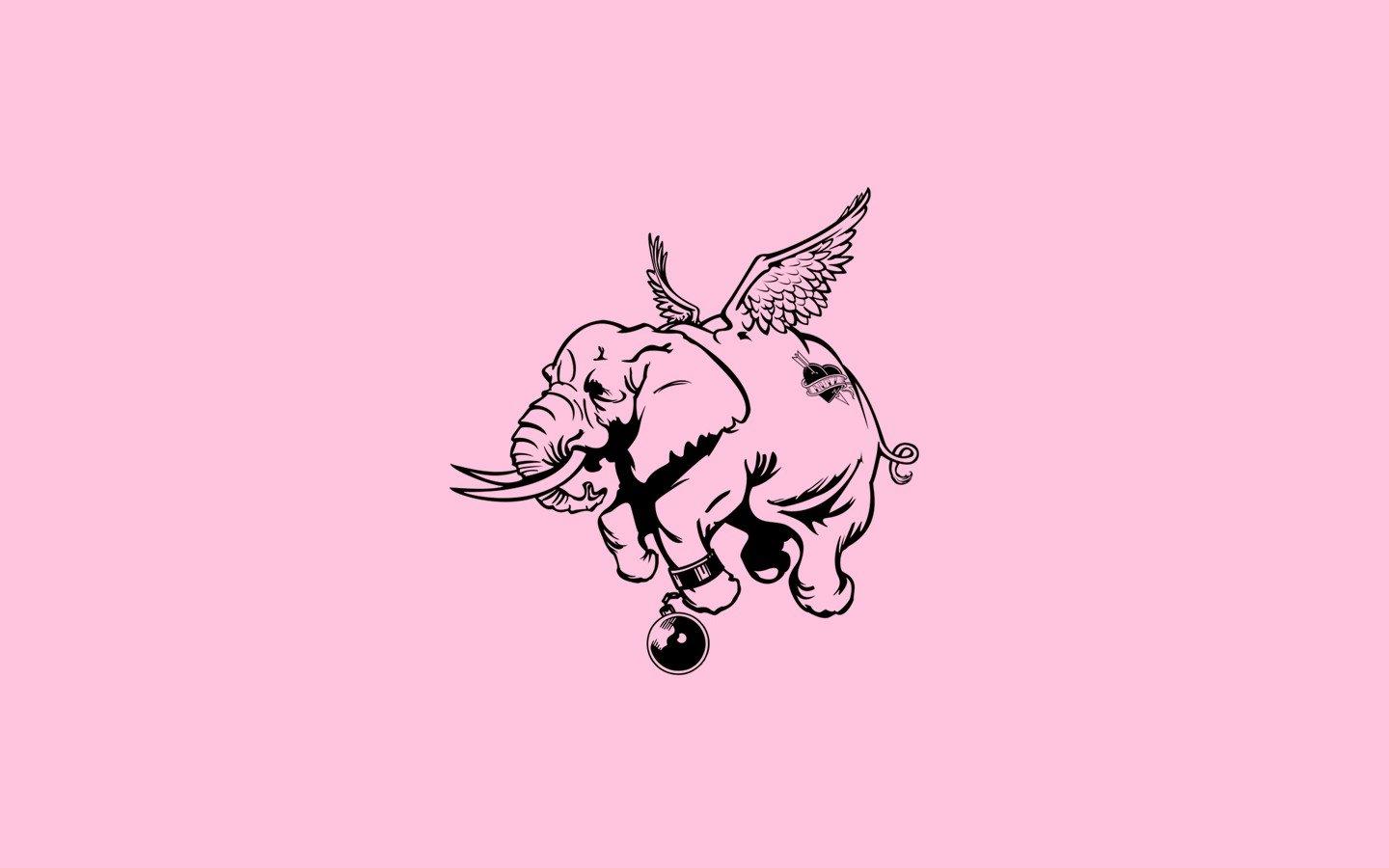 Minimalist Elephant Wallpapers - Top Free Minimalist Elephant