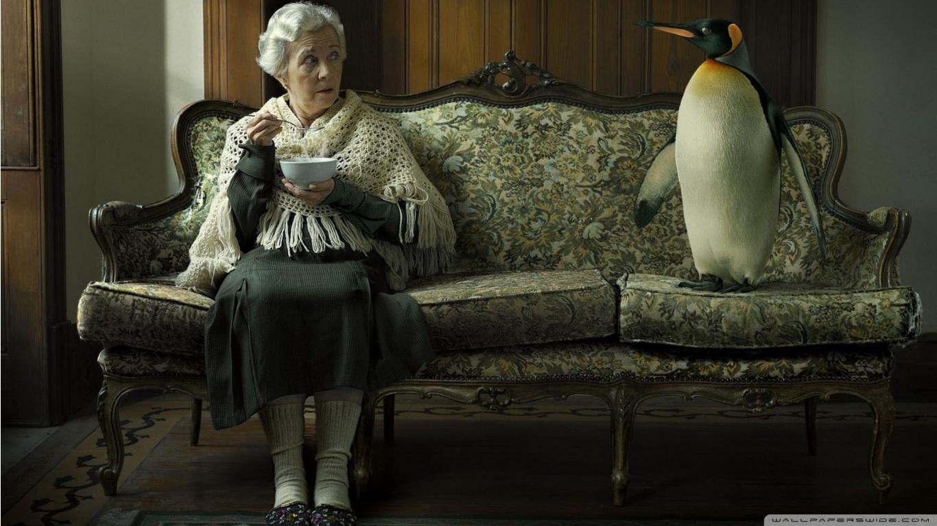 1366x768 Funny Old Lady Wallpaper