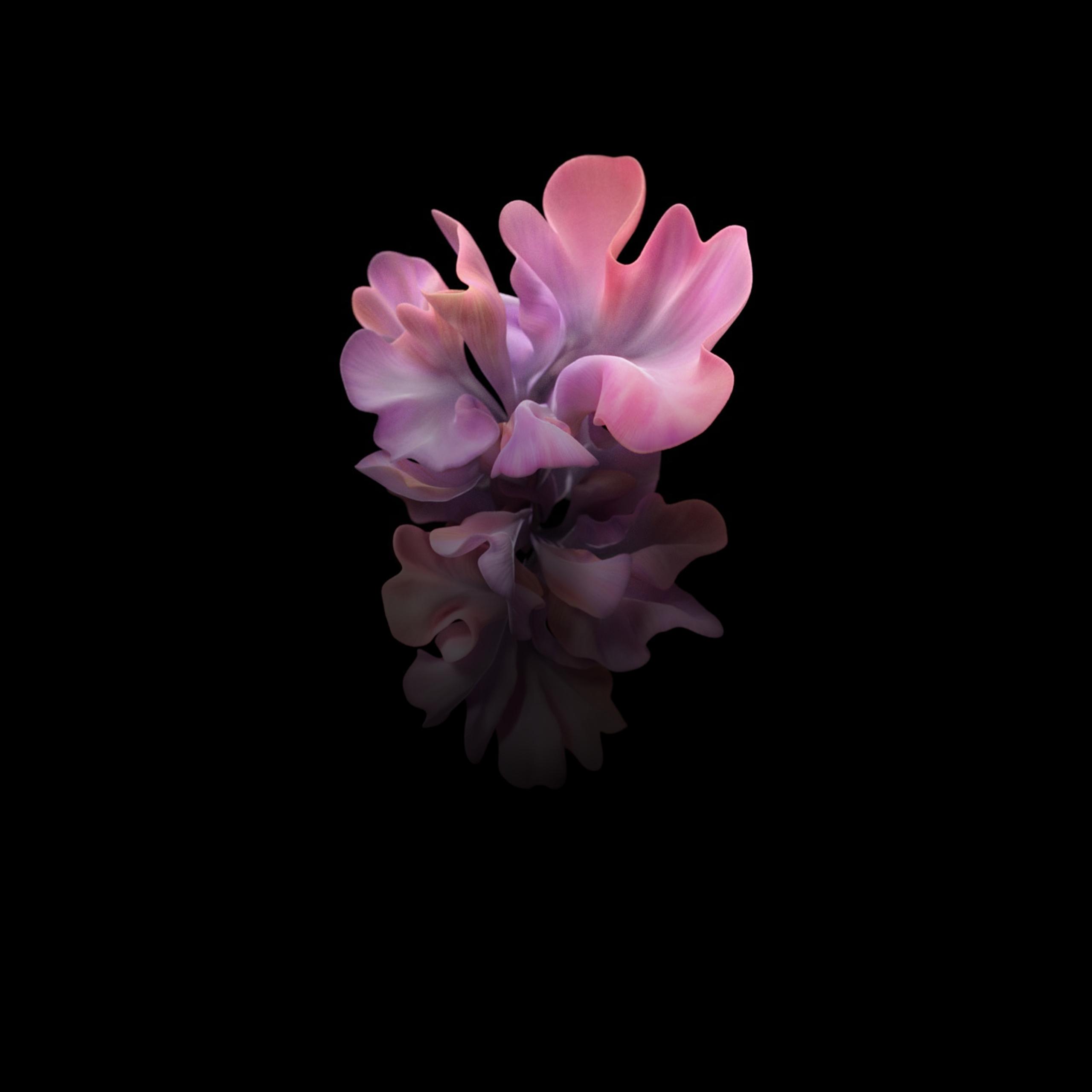Samsung Galaxy Z Flip Wallpapers - Top Free Samsung Galaxy Z Flip