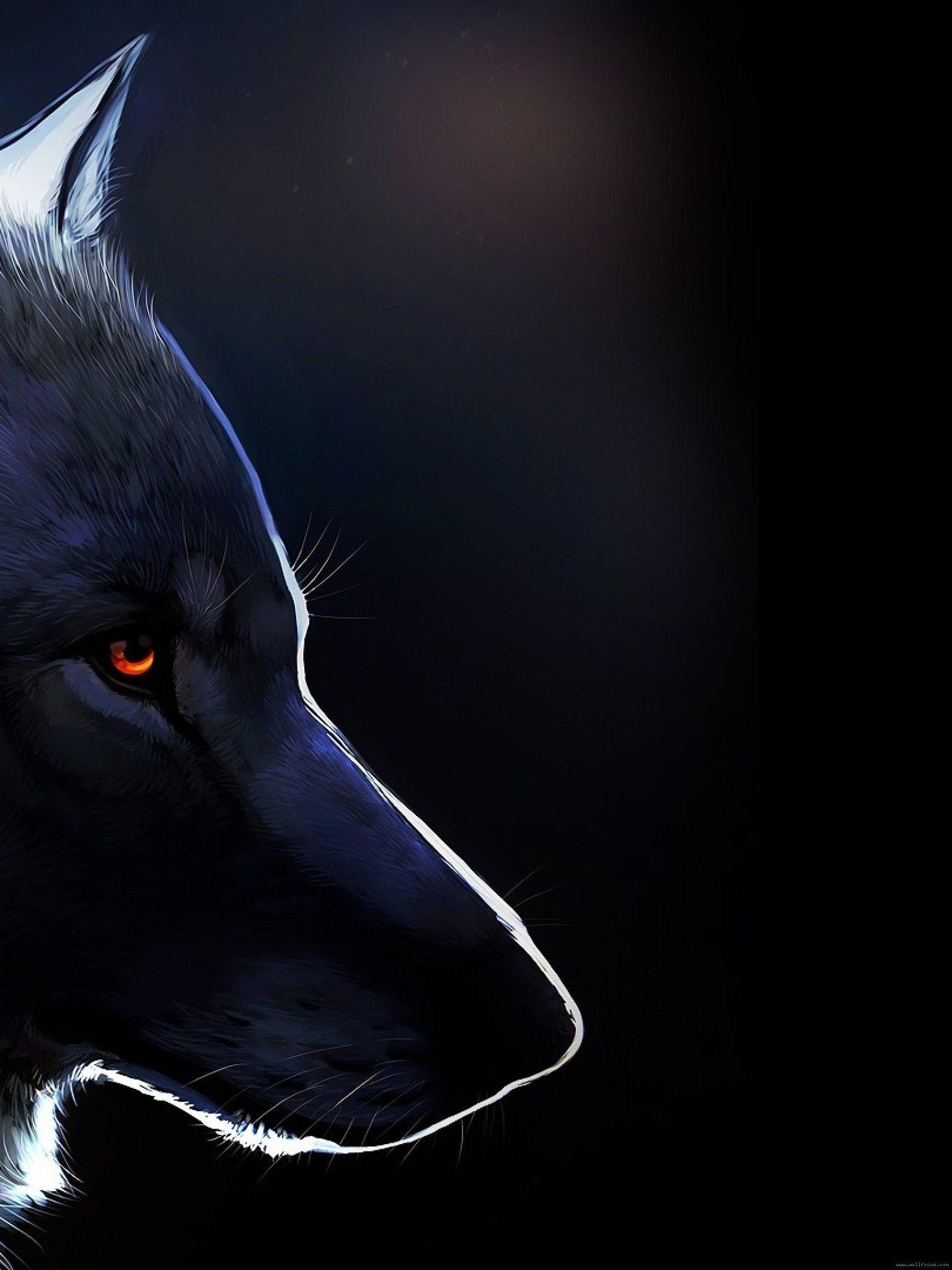 Lone Wolf Hd Wallpapers - Top Free Lone Wolf Hd Backgrounds