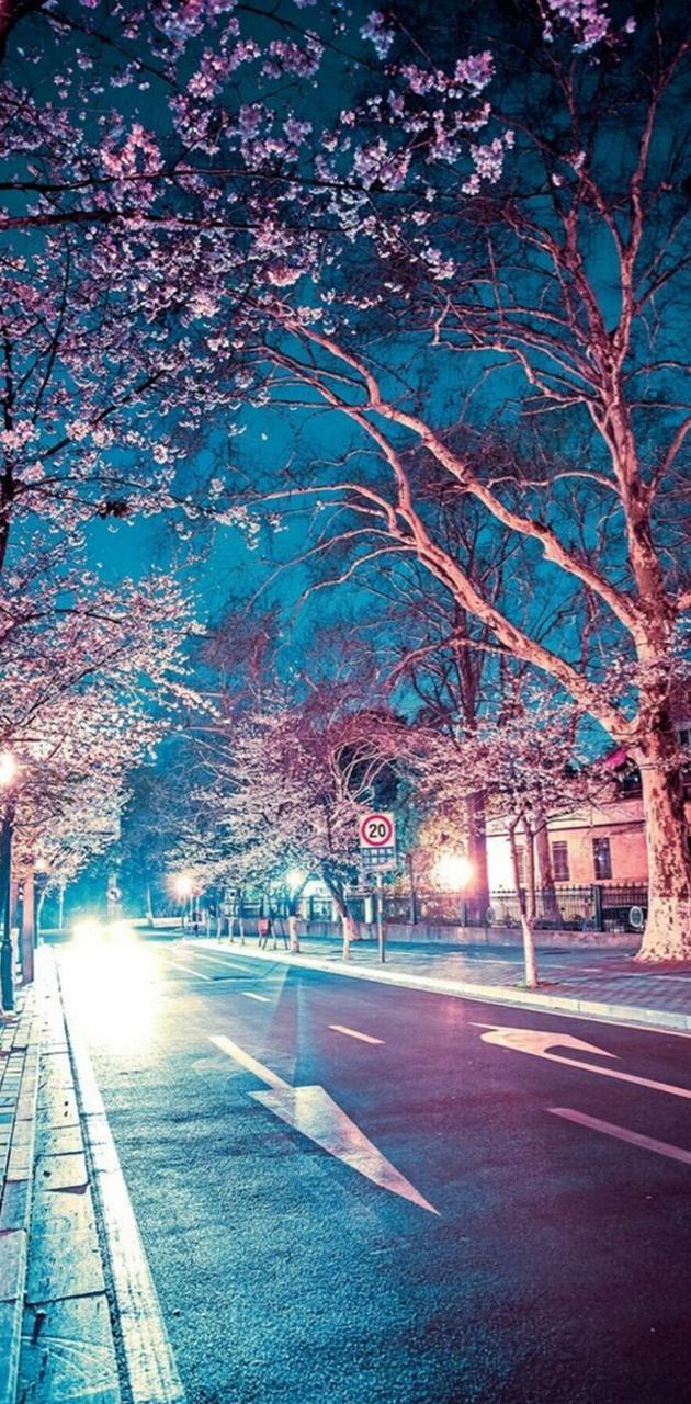 630x1280 Flower Street wallpaper