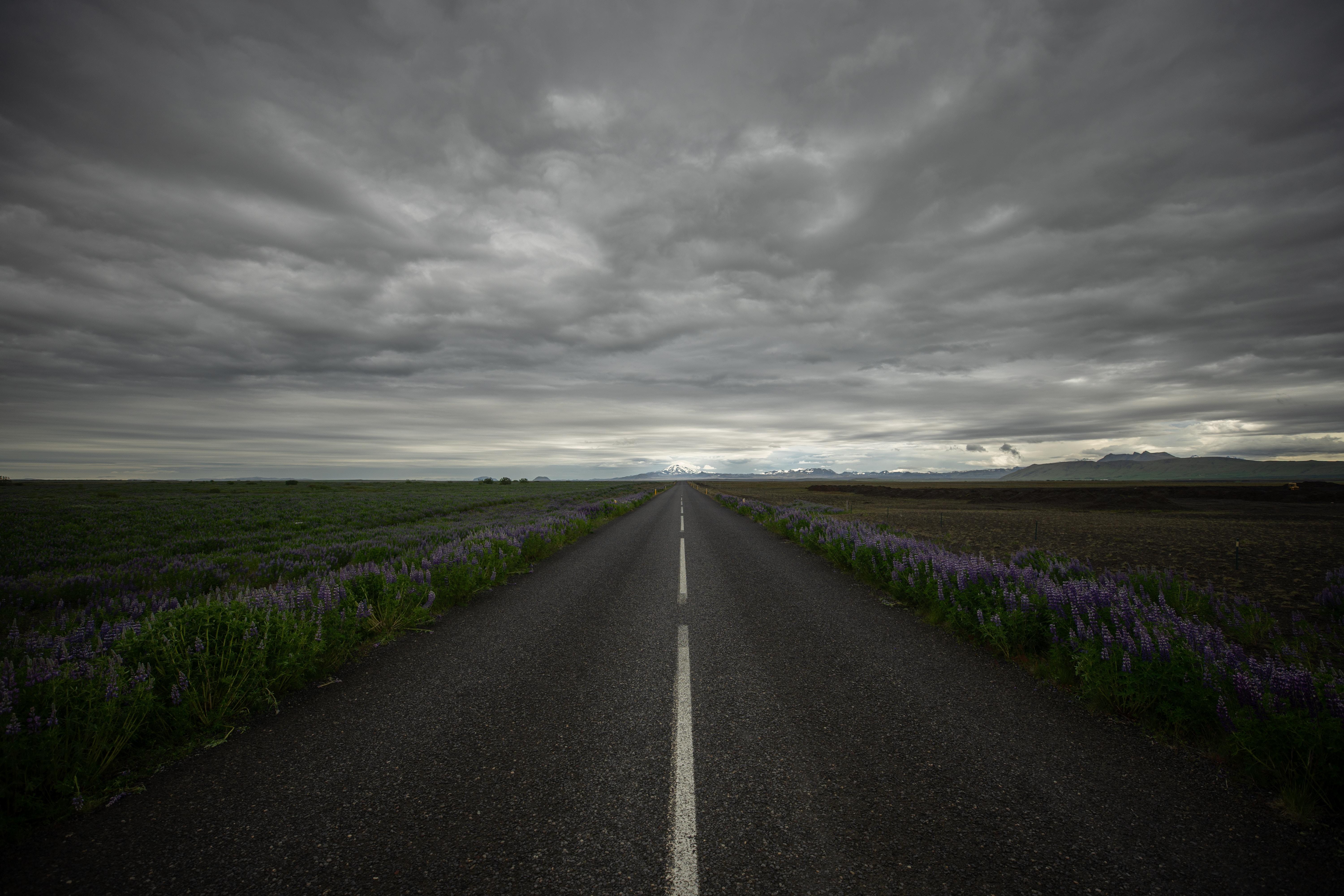 6000x4000 Cloud, Flower, Purple Flower, Road, Iceland wallpaper