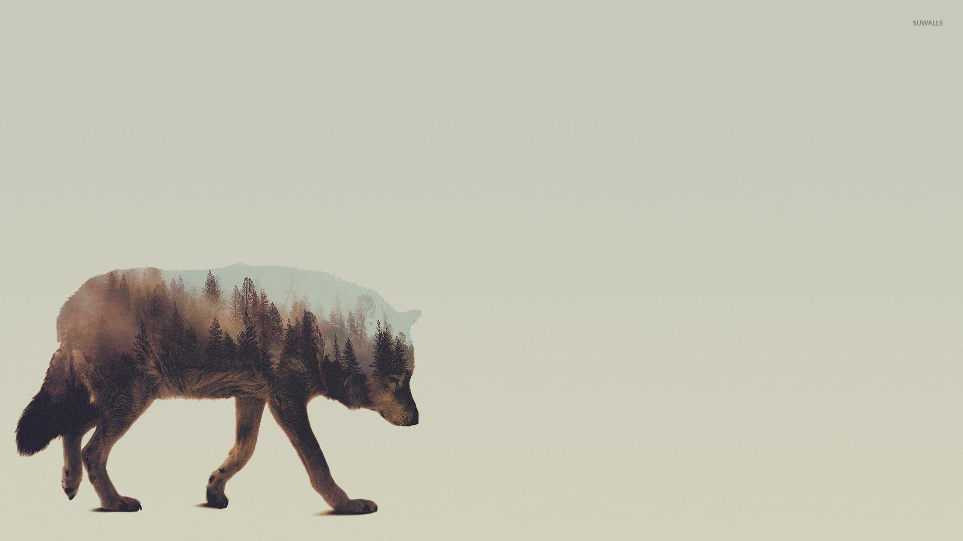 1920x1080 Wolf Wallpaper 1920X1080 background picture
