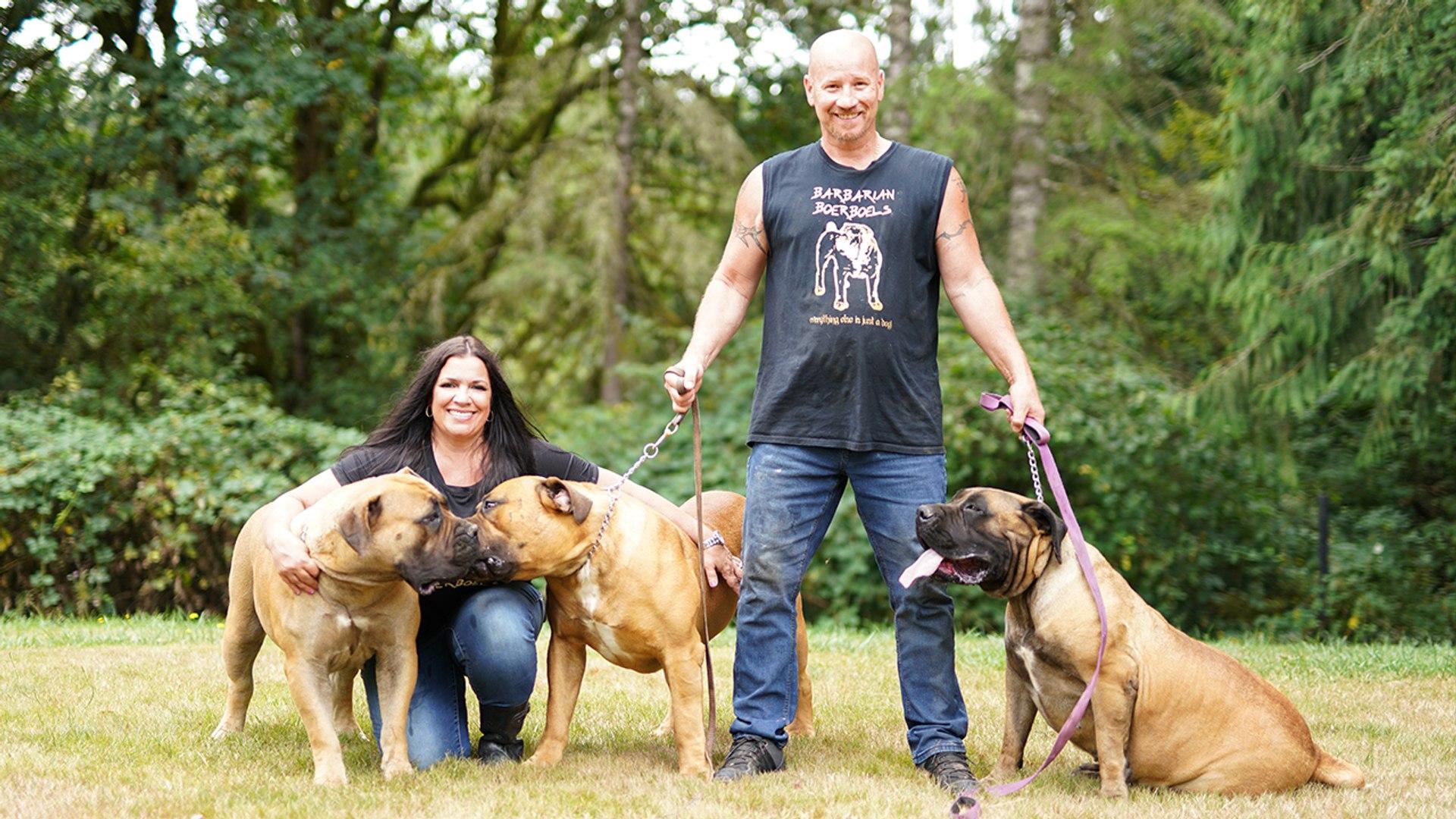 1920x1080 Barbarian Boerboels