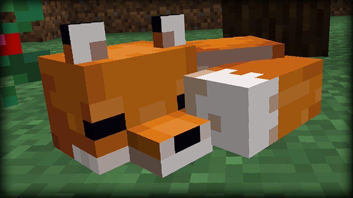 Minecraft Fox Wallpapers Top Free Minecraft Fox Backgrounds Wallpaperaccess 2669