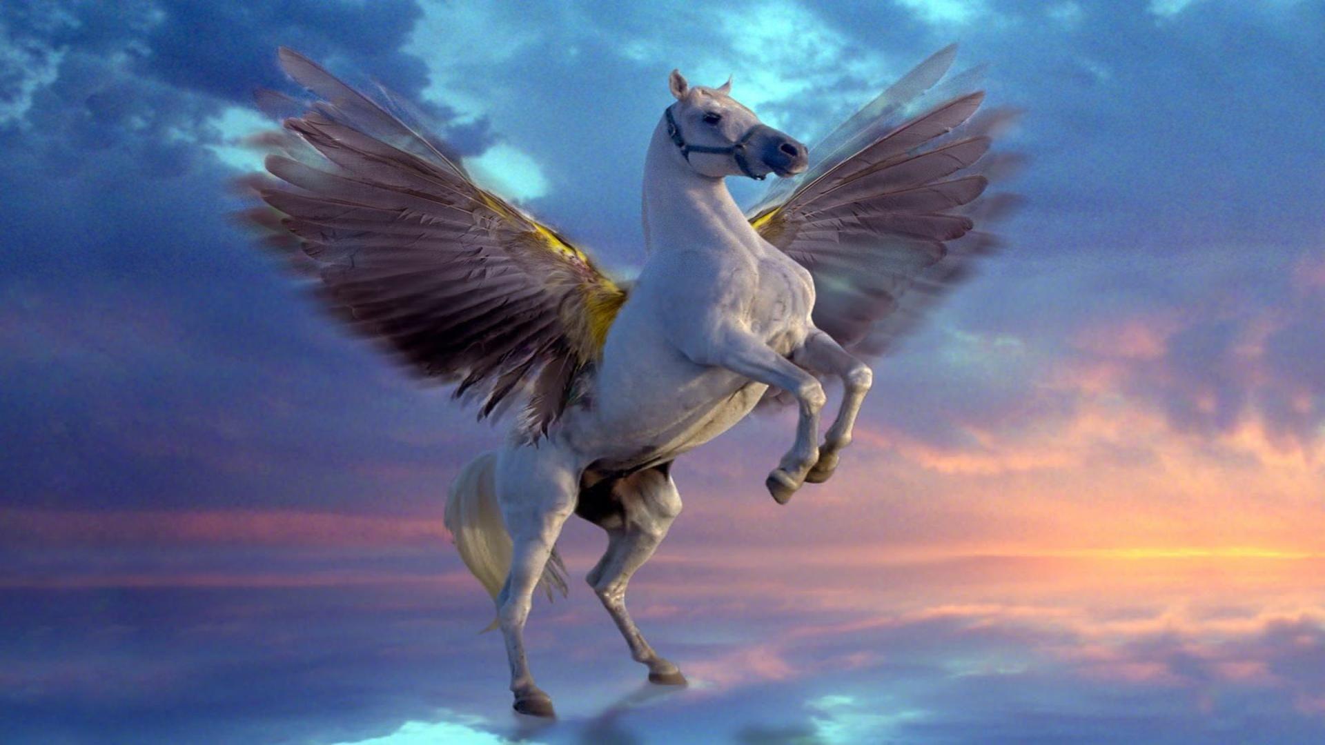 1920x1080 3D horse, full top, album Curtis Hinton