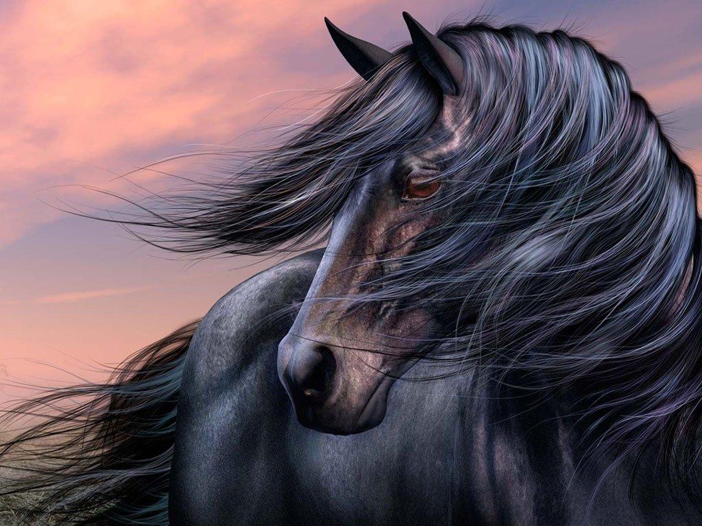 1024x768 Free download Beautiful Wallpaper Black Horse Wallpaper [1024x768] for your Desktop, Mobile & Tablet. Explore 3D Horse Wallpaper. Cool Horse Wallpaper, Horse Image Wallpaper, Paint Horse Wallpaper for Computer