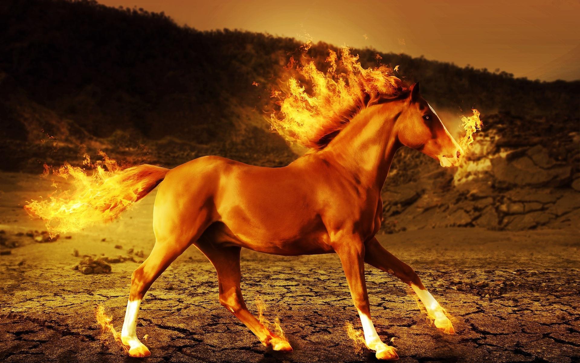 1920x1200 3D horse.8 Kb, interesting, JU.60