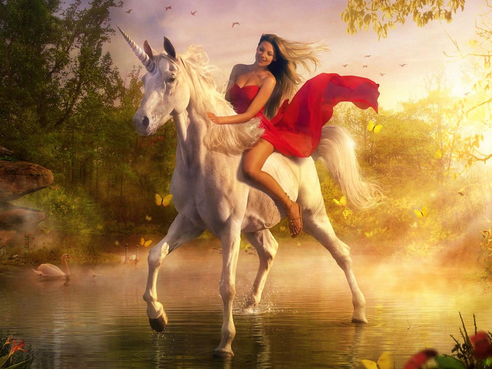 1600x1200 horse wallpaper 198