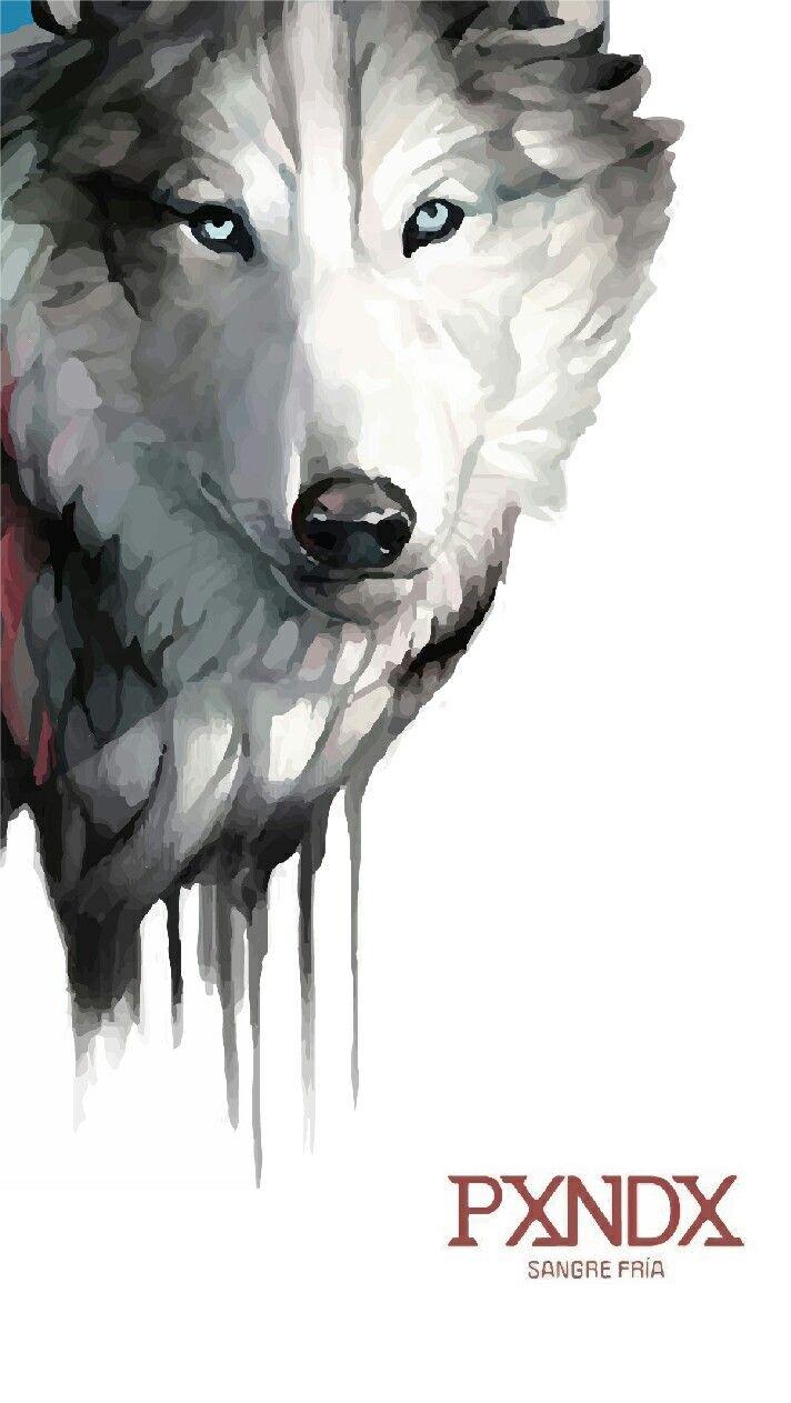 712x1263 PXNDX ideas. panda, lyrics, reiki training