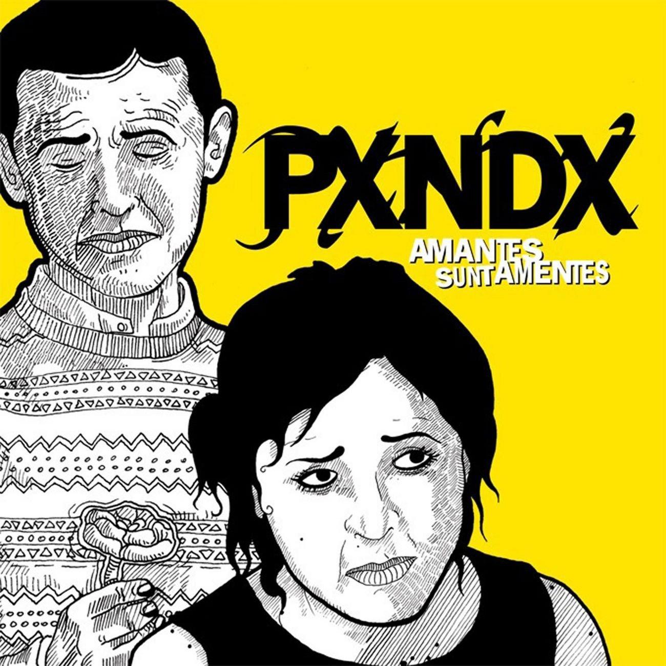1300x1300 Amantes Sunt Amentes