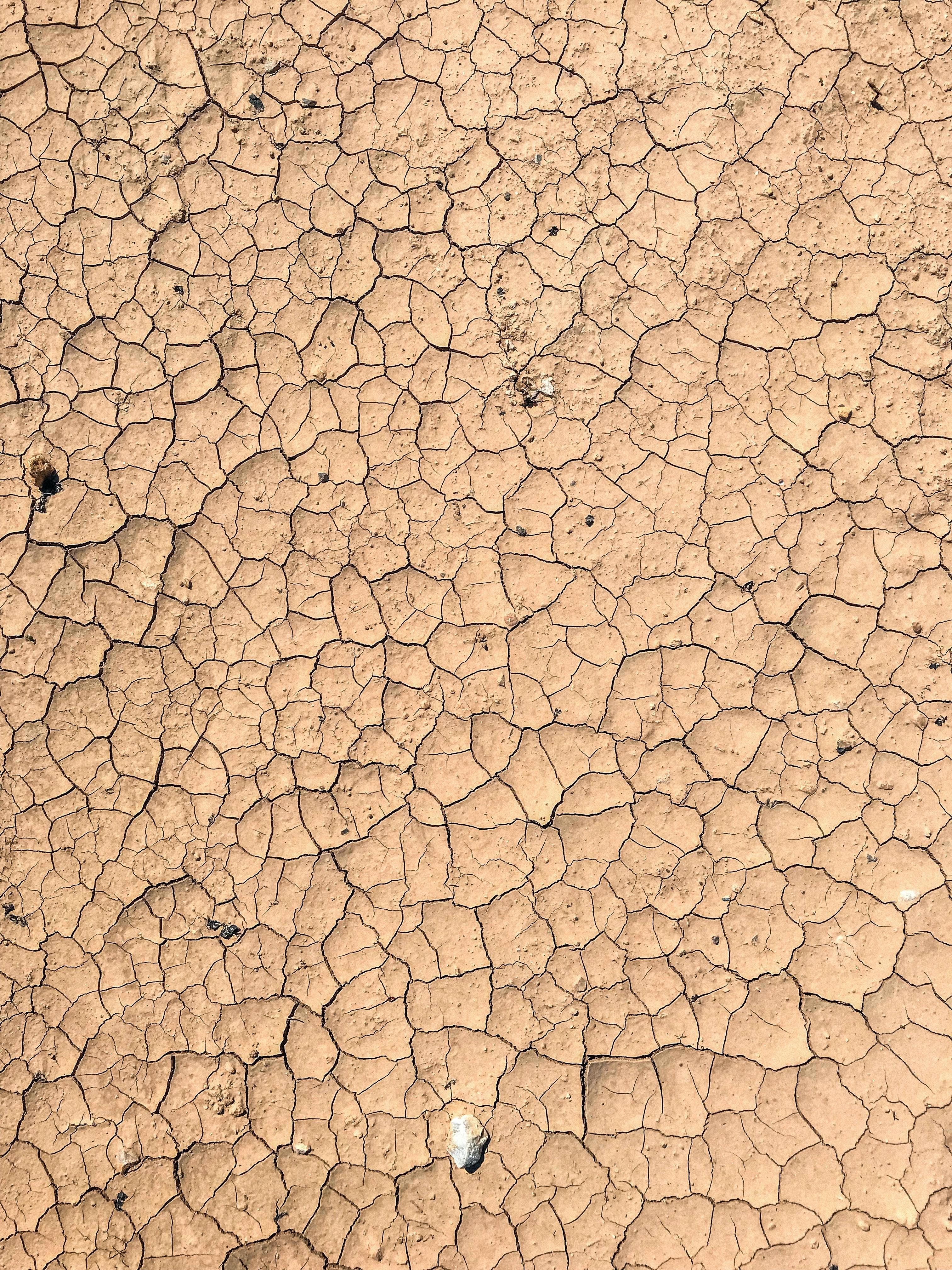 3024x4032 Dry cracked mud · Free
