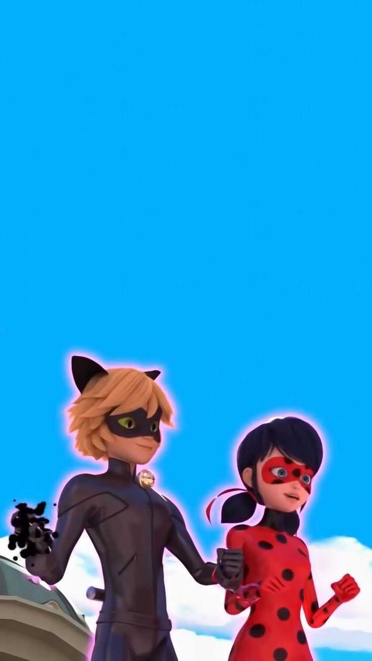 736x1309 Ladybug and Cat Noir Wallpaper Free HD Wallpaper
