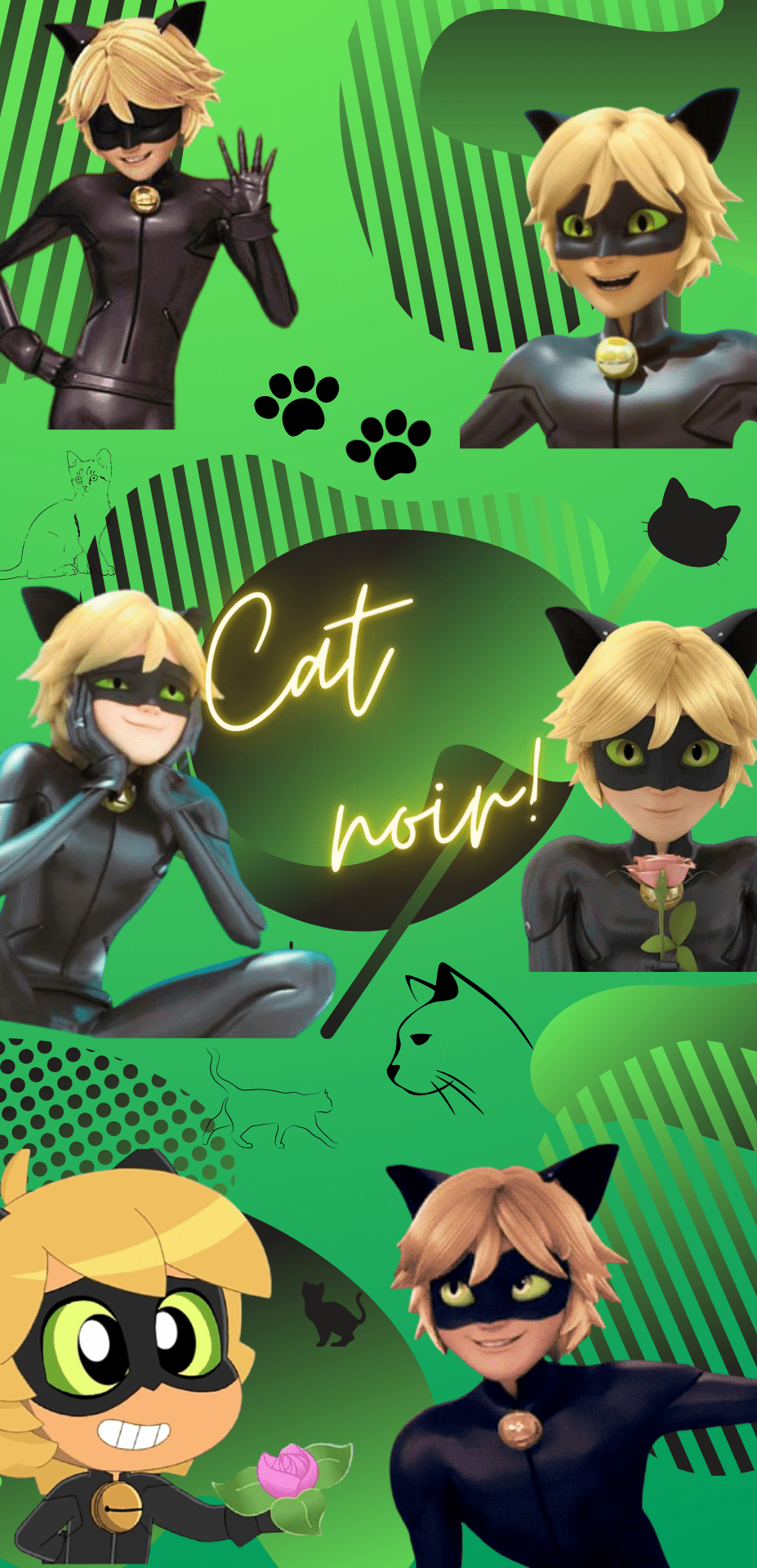 927x1920 Cat Noir Wallpaper