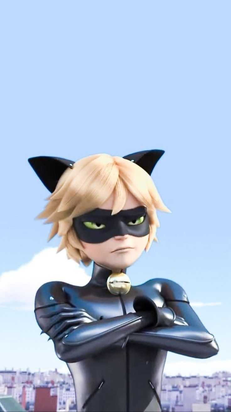736x1309 Cat Noir Wallpaper