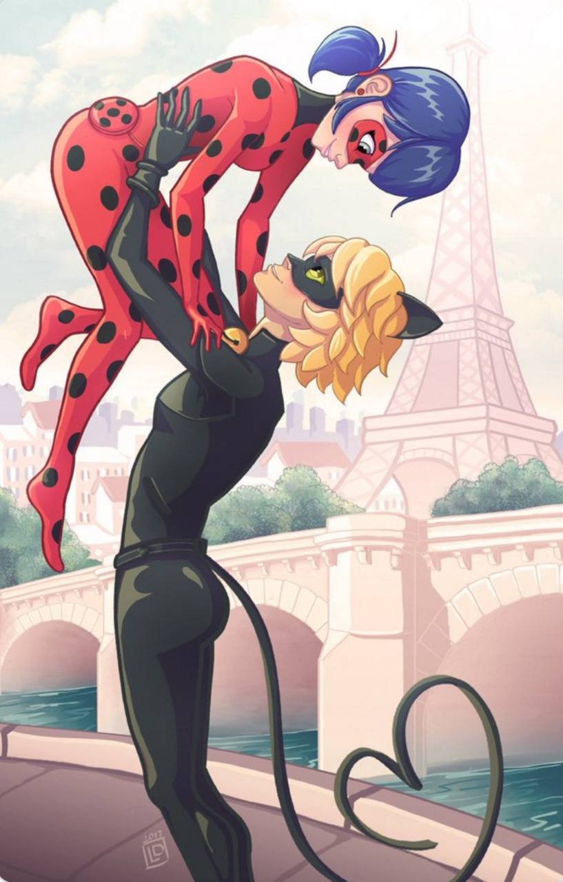 817x1280 Background Ladybug And Cat Noir Wallpaper
