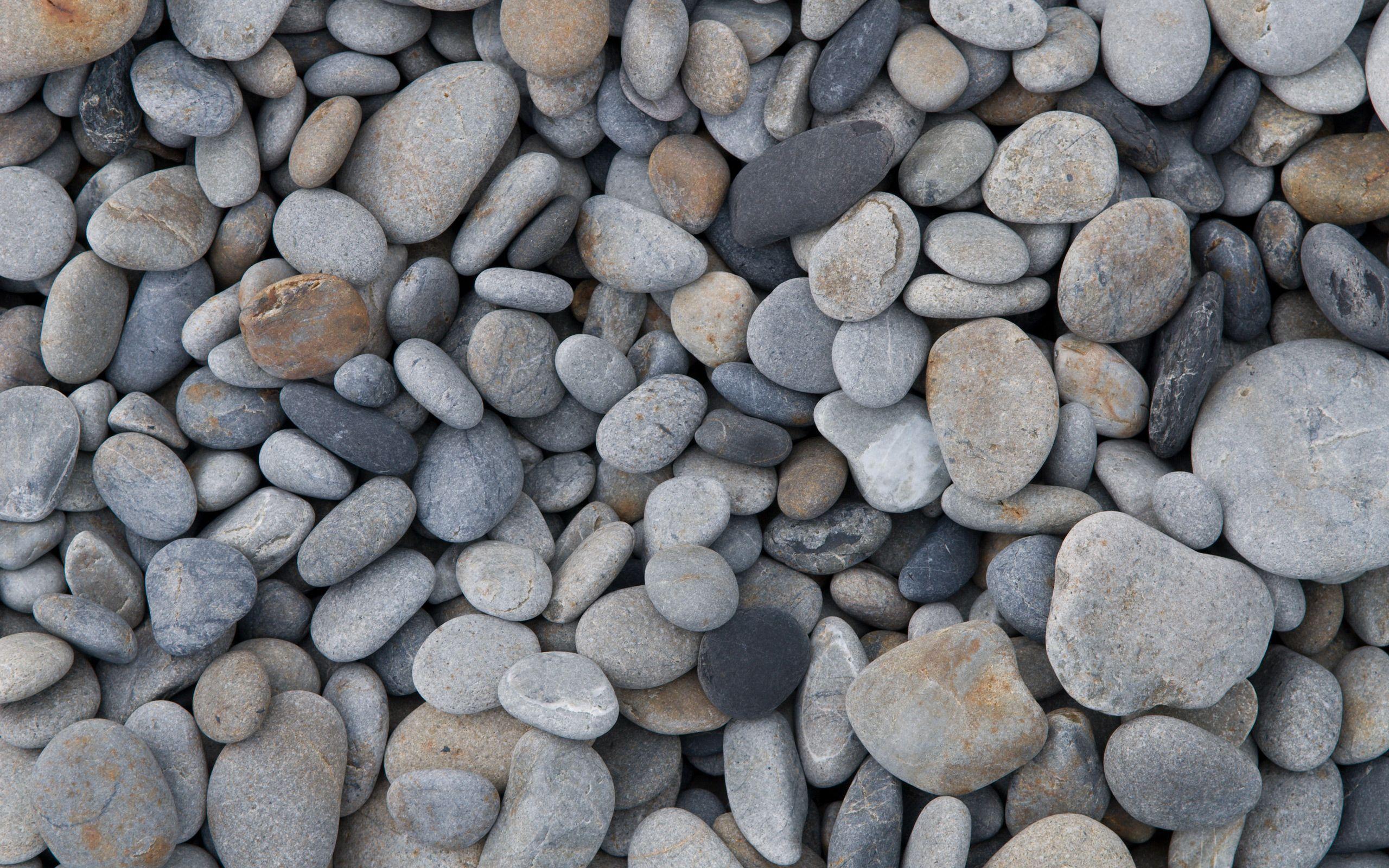 2560x1600 Jeffrey Friedl's Blog Desktop Background: Bamboo, Stones, and Coral