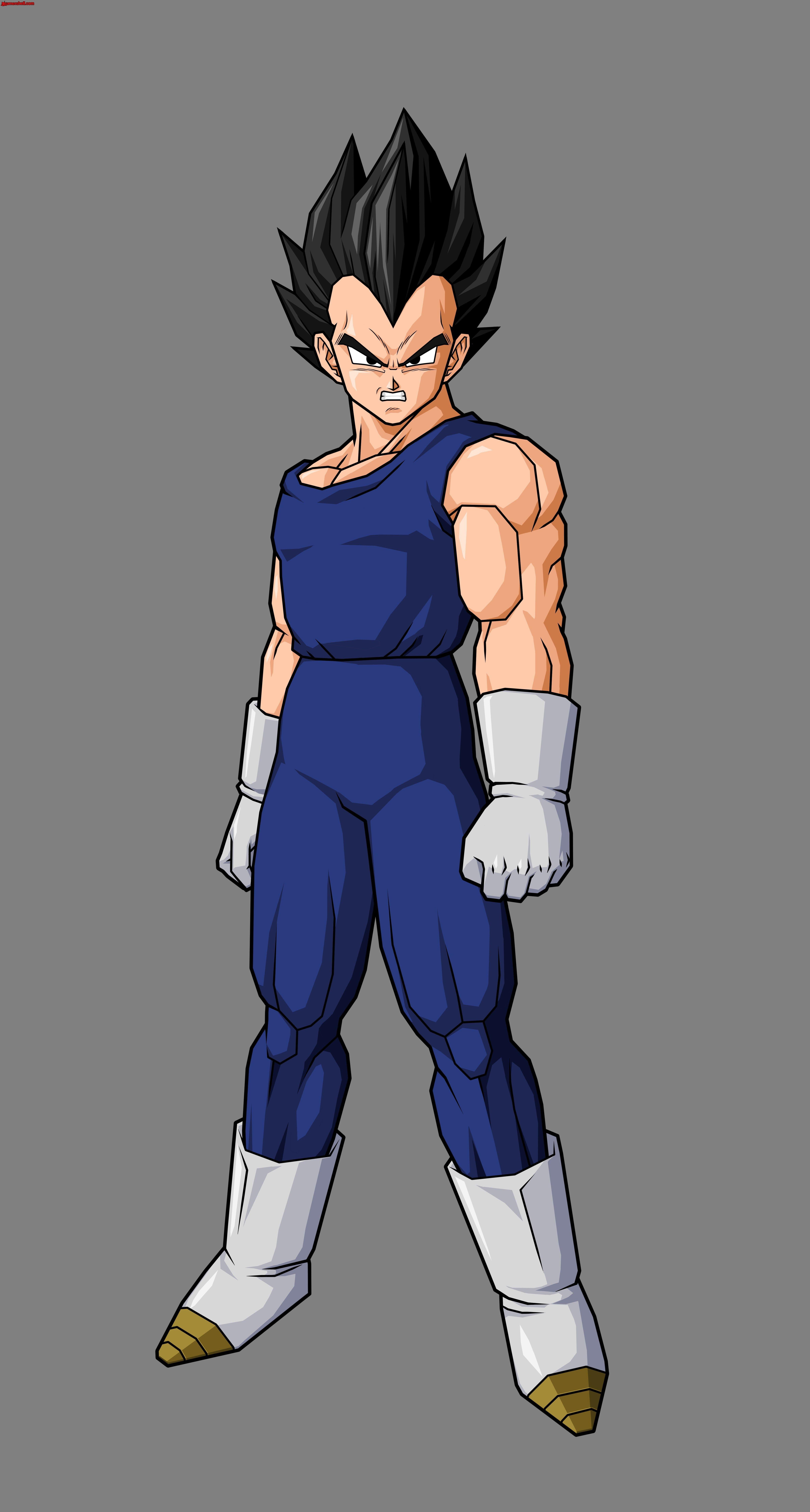 4800x8960 vegeta. Dragon ball z, Dragon ball, Anime dragon ball