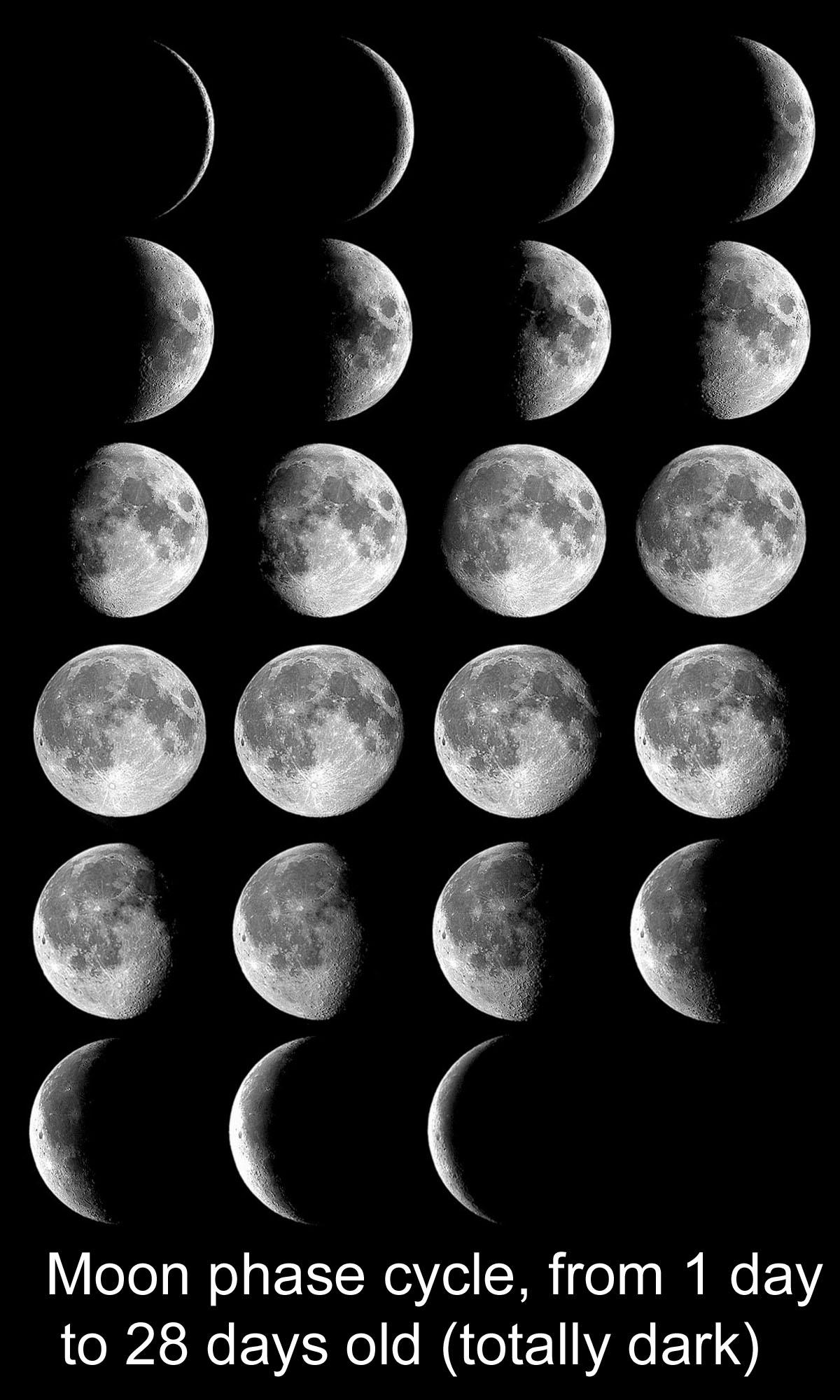 1200x2000 Free download Montage of photo of Moon each night for one 28 day cycle [1200x2000] for your Desktop, Mobile & Tablet. Explore Phases of the Moon Wallpaper. G Eazy Wallpaper