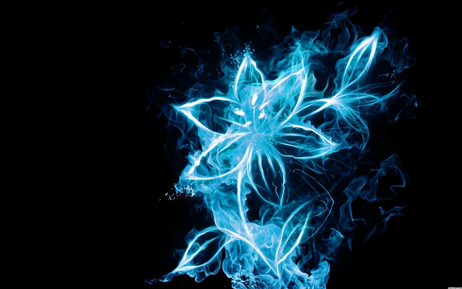 1920x1200 Fire Flower Wallpaper