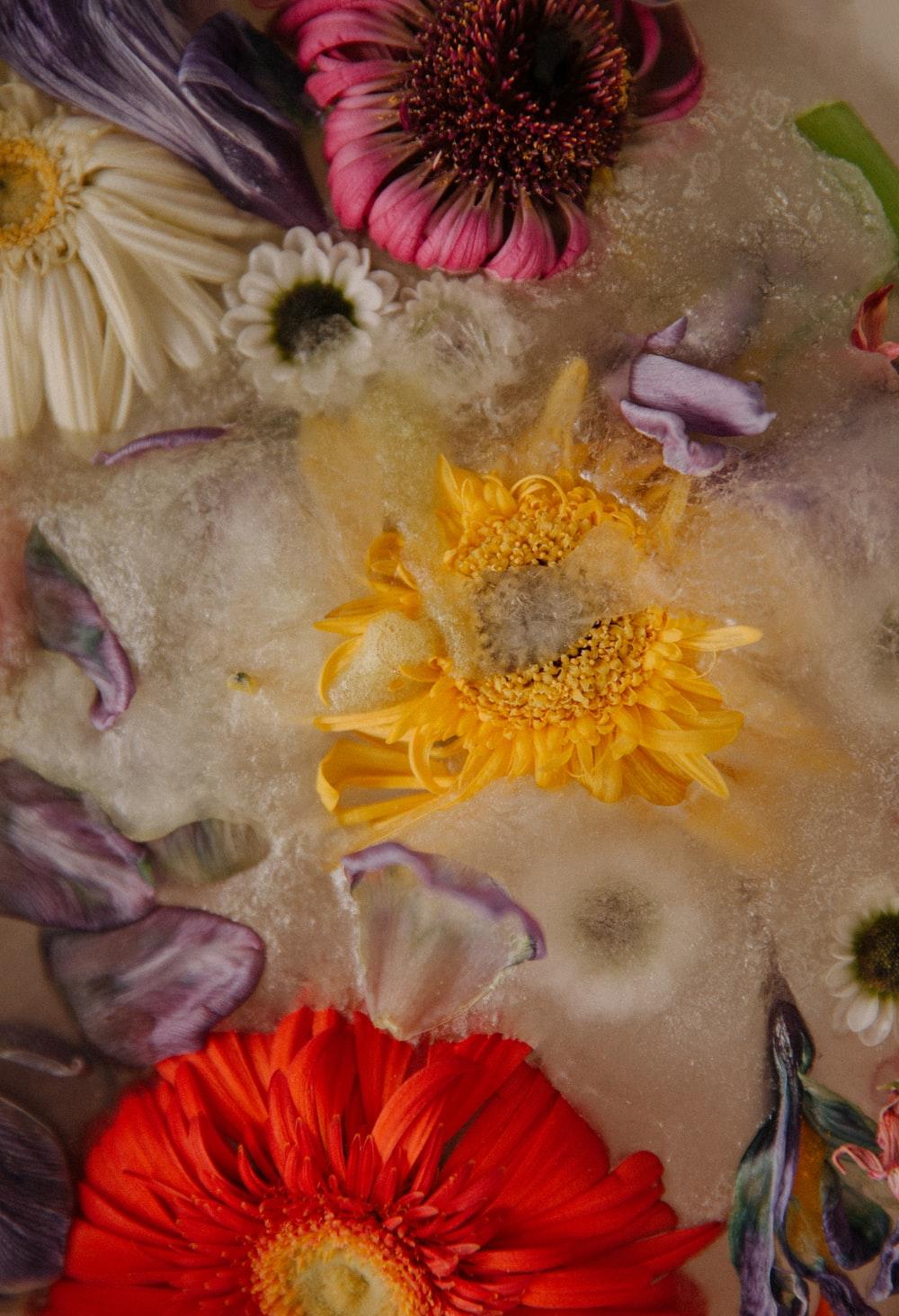 1000x1464 Frozen Flowers Picture. Download Free Image