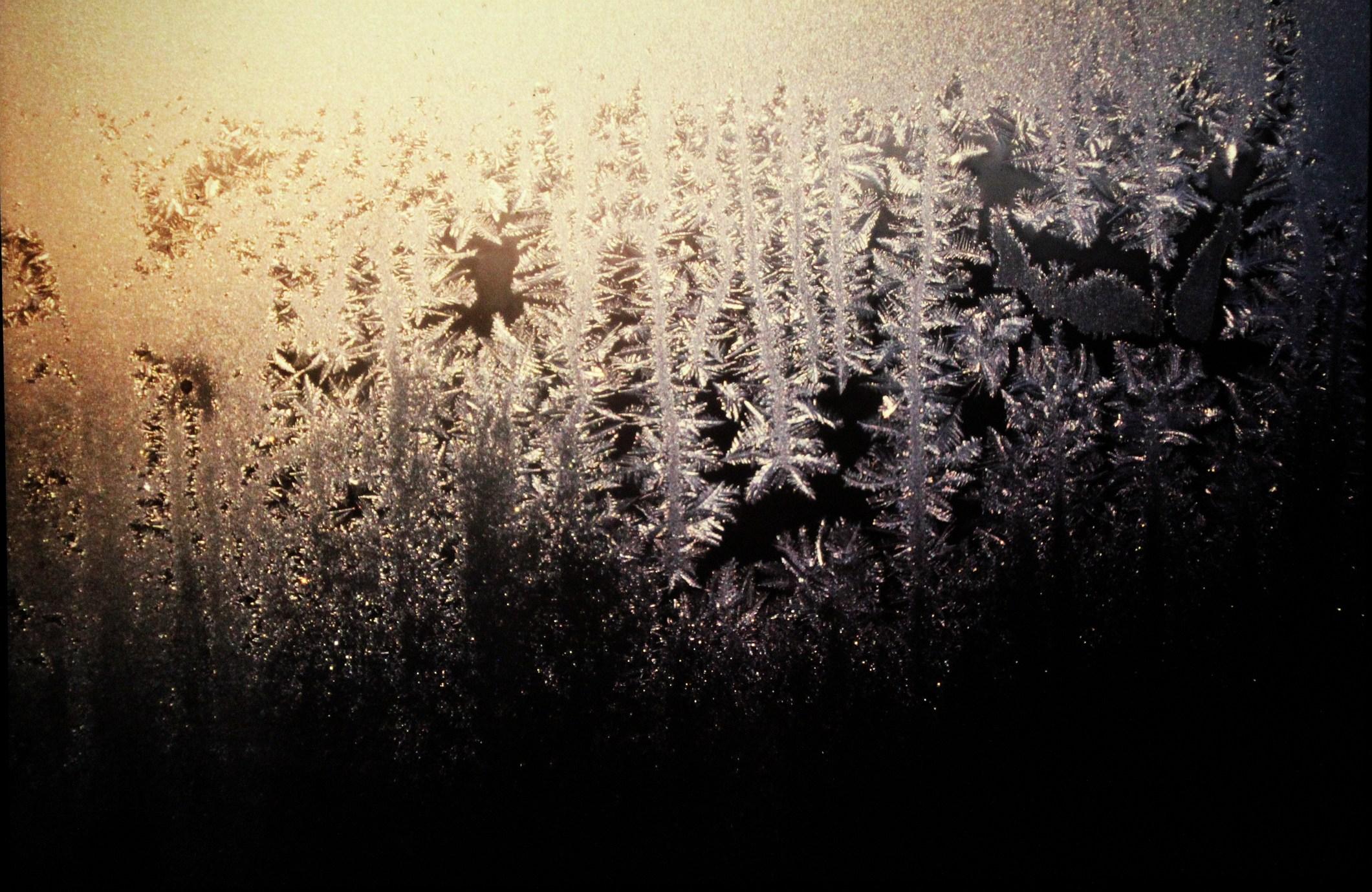 2121x1380 Ice Flowers Wallpaper