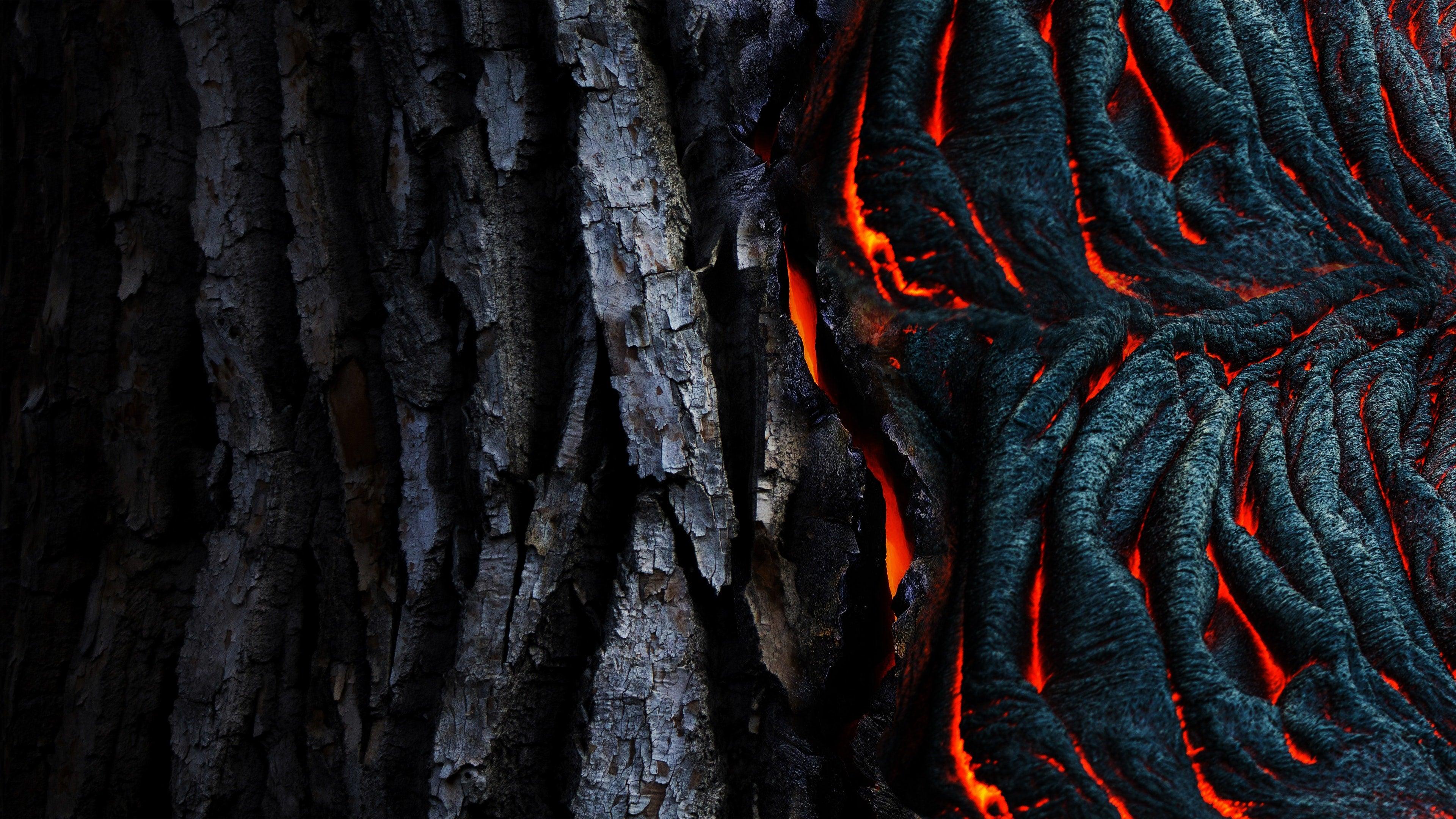 3840x2160 Bright 4K wallpaper for your desktop or mobile screen free and easy to download