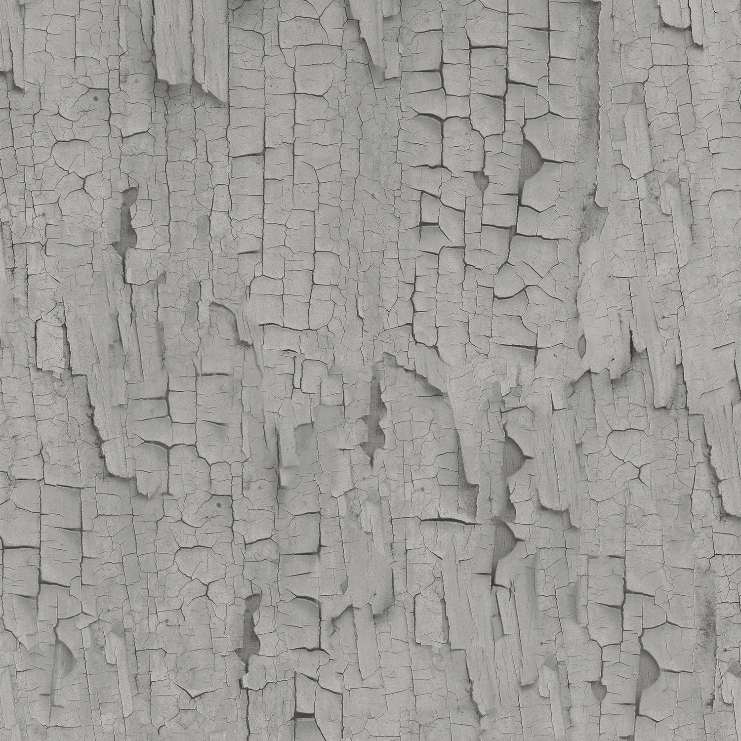 1500x1500 Grey tree bark wallpaper
