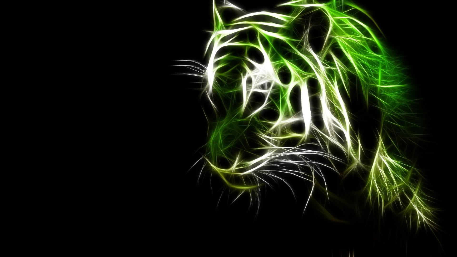 Animal Green Wallpapers - Top Free Animal Green Backgrounds